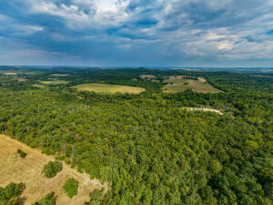 main property photo 57
