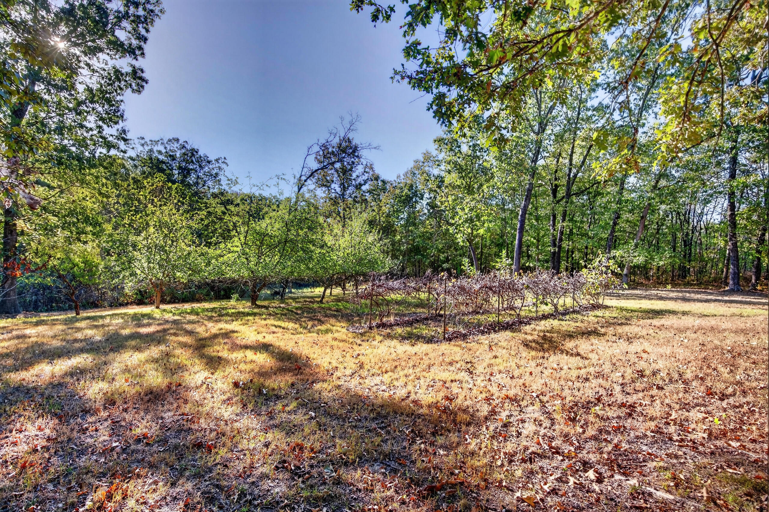 main property photo 102