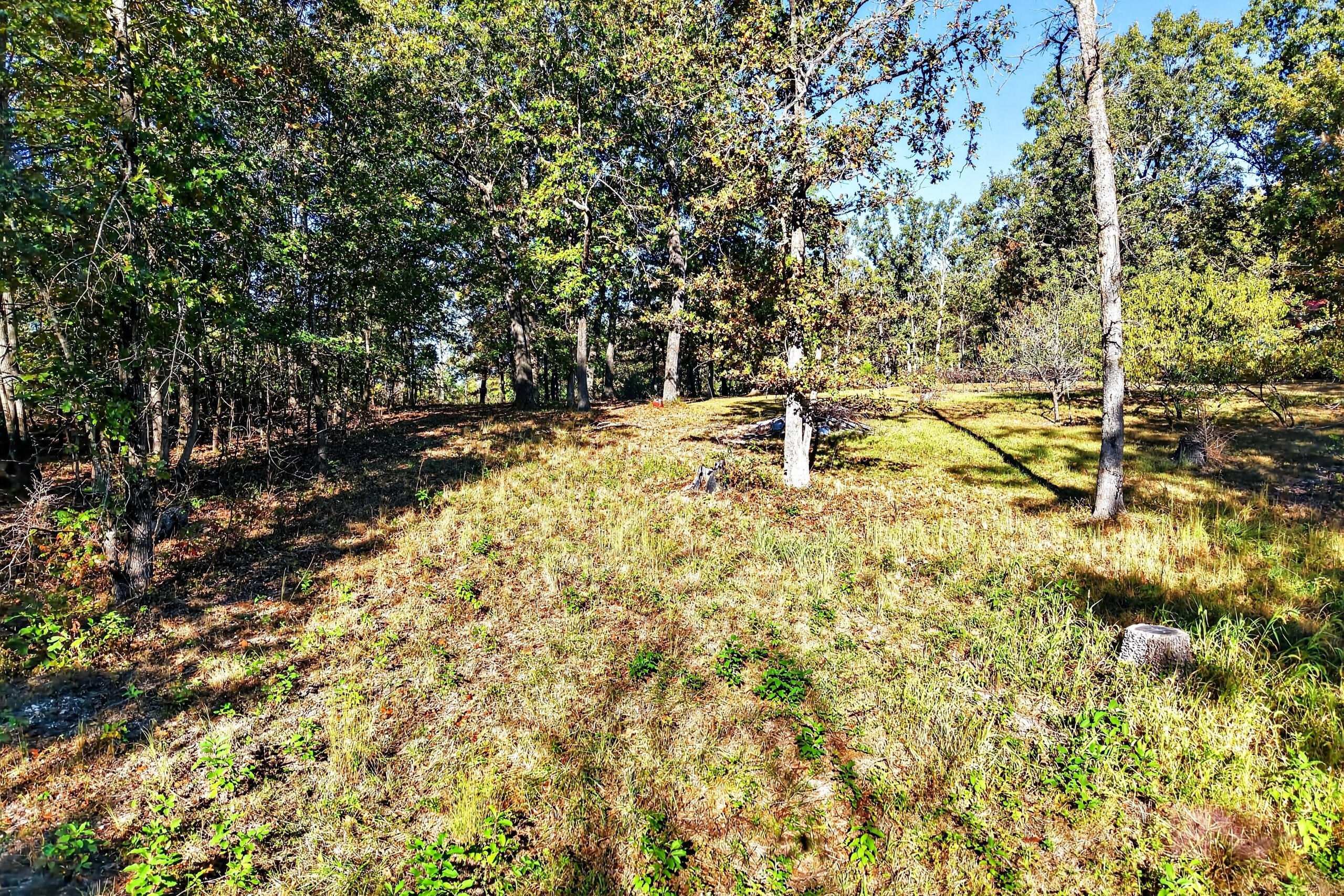 main property photo 118