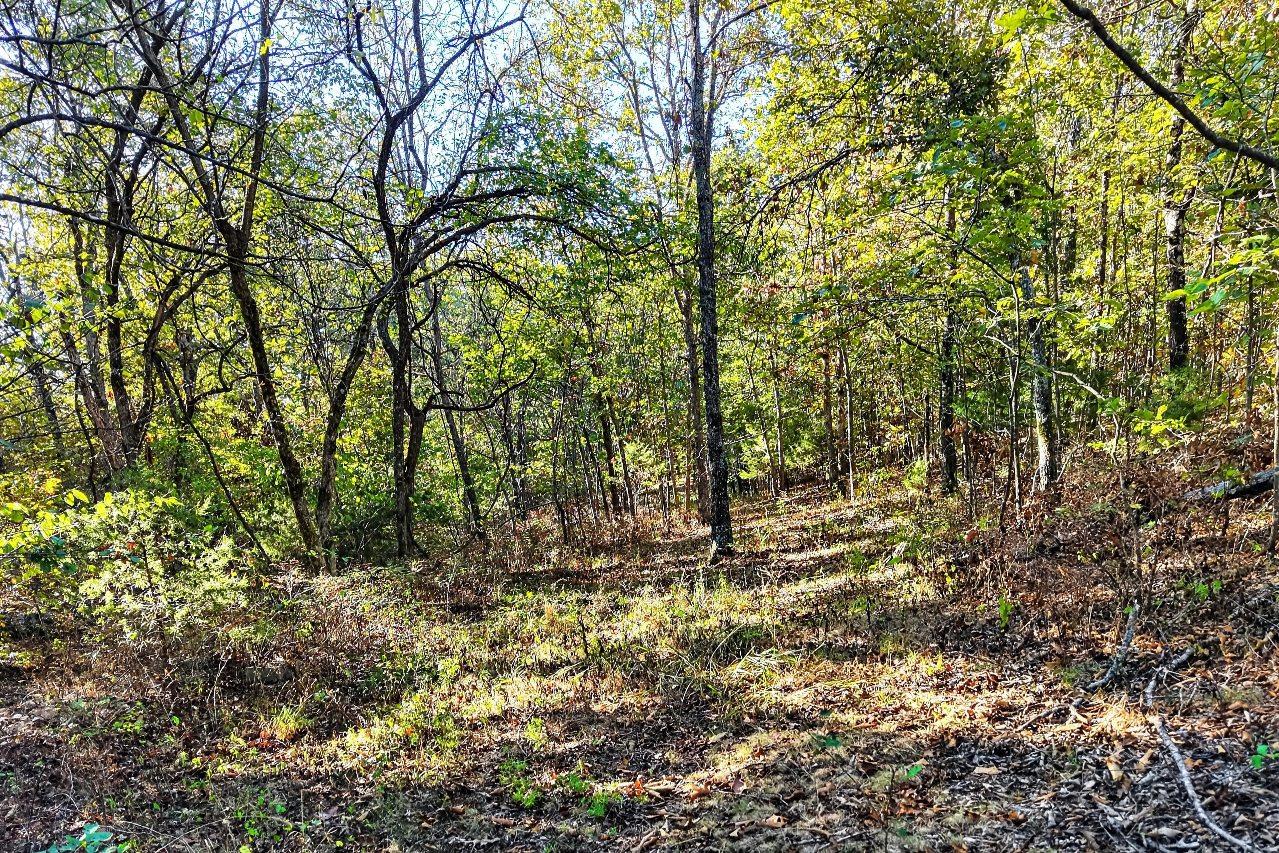 main property photo 119