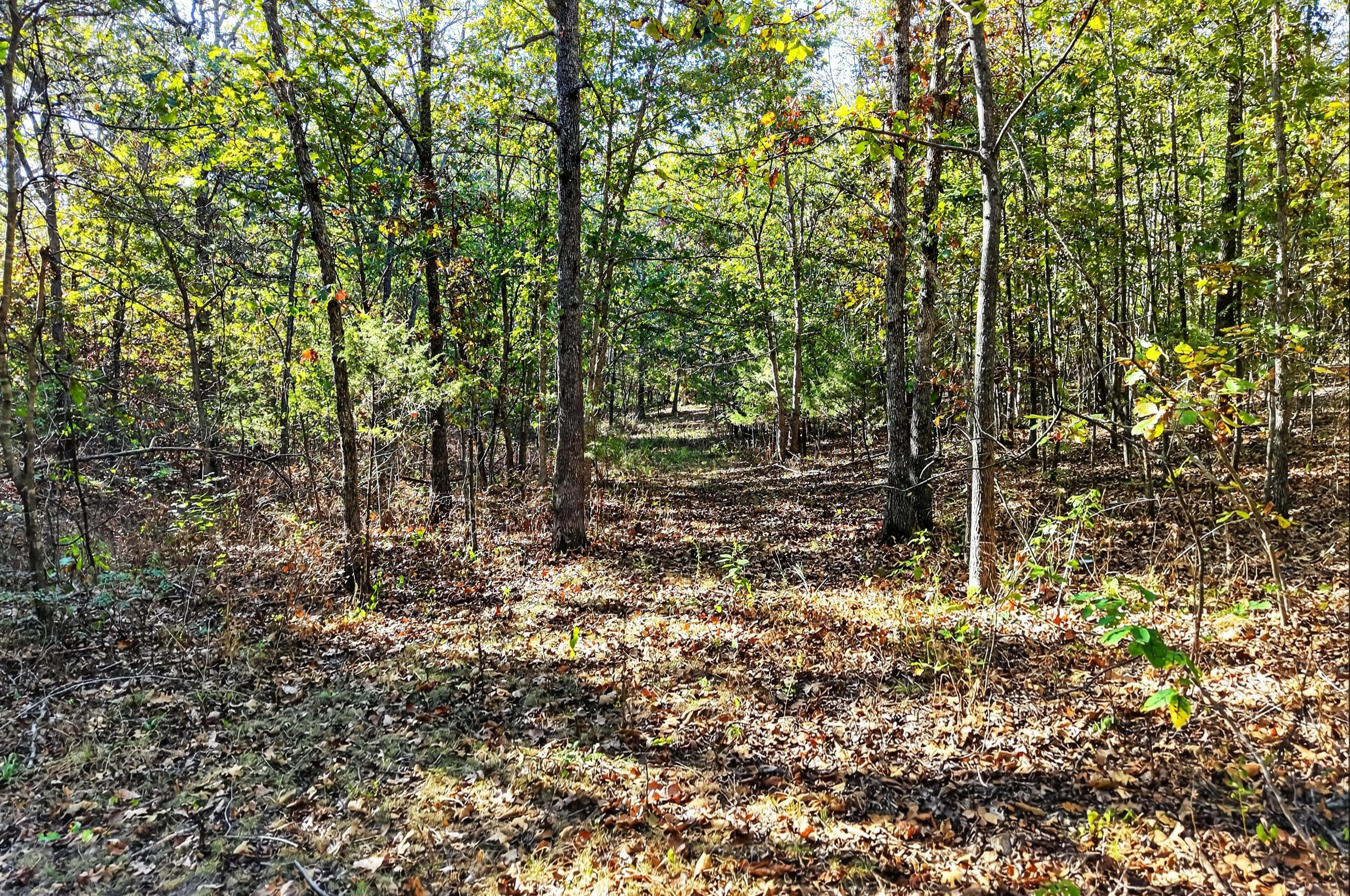 main property photo 121