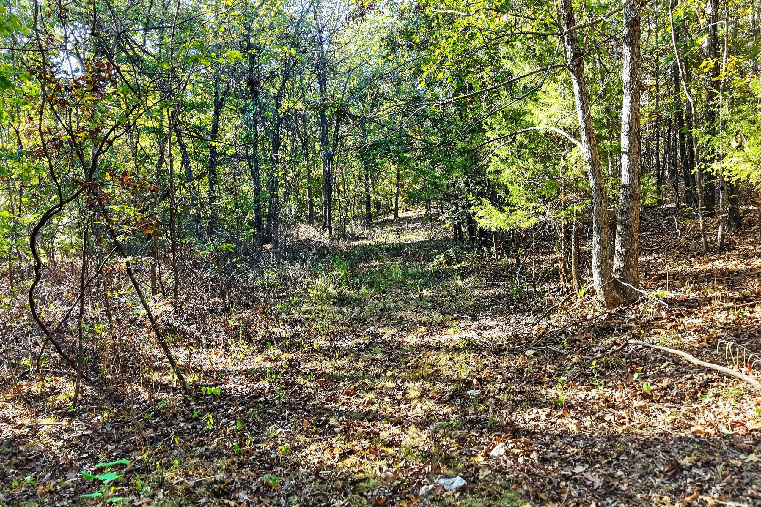 main property photo 122