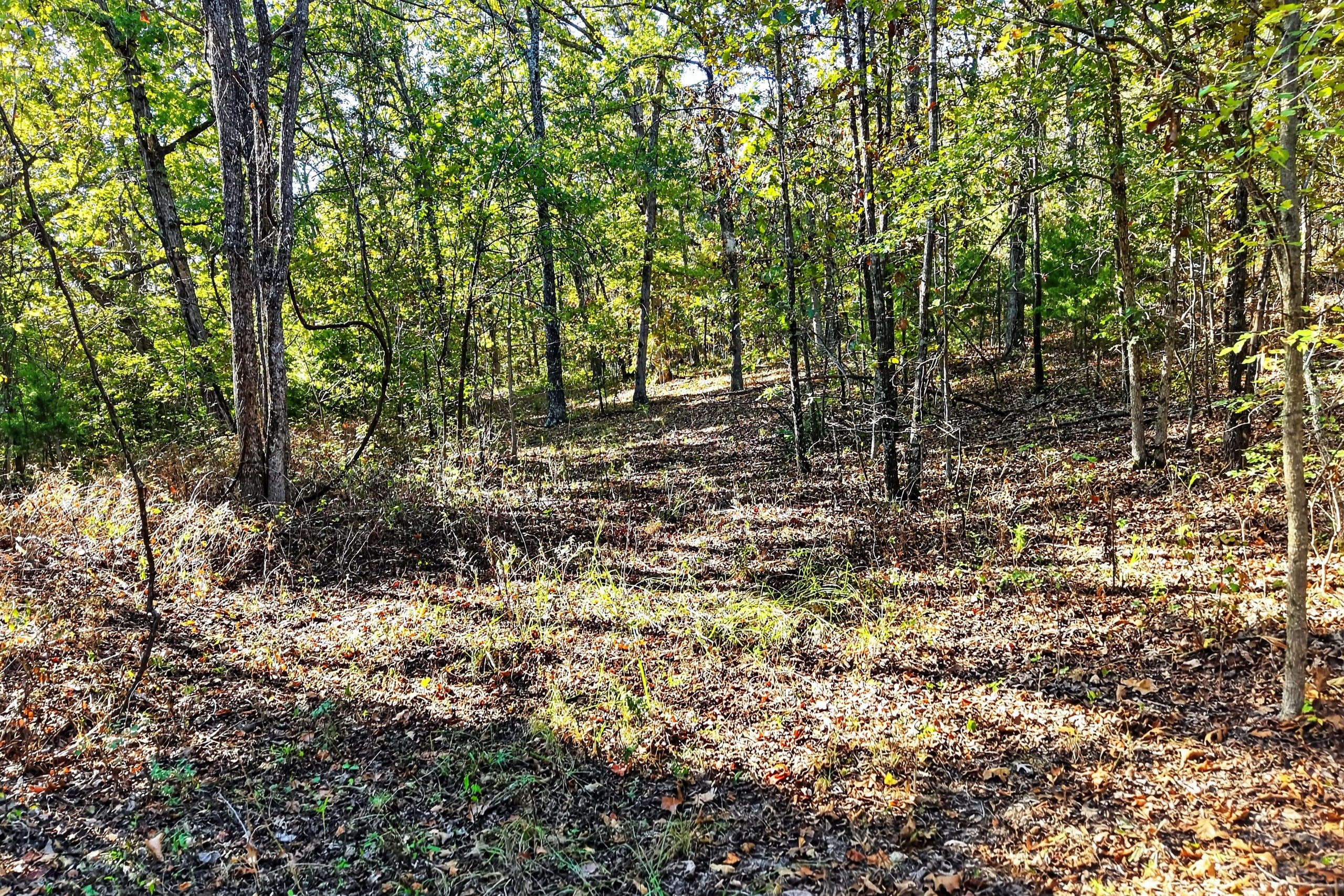 main property photo 123