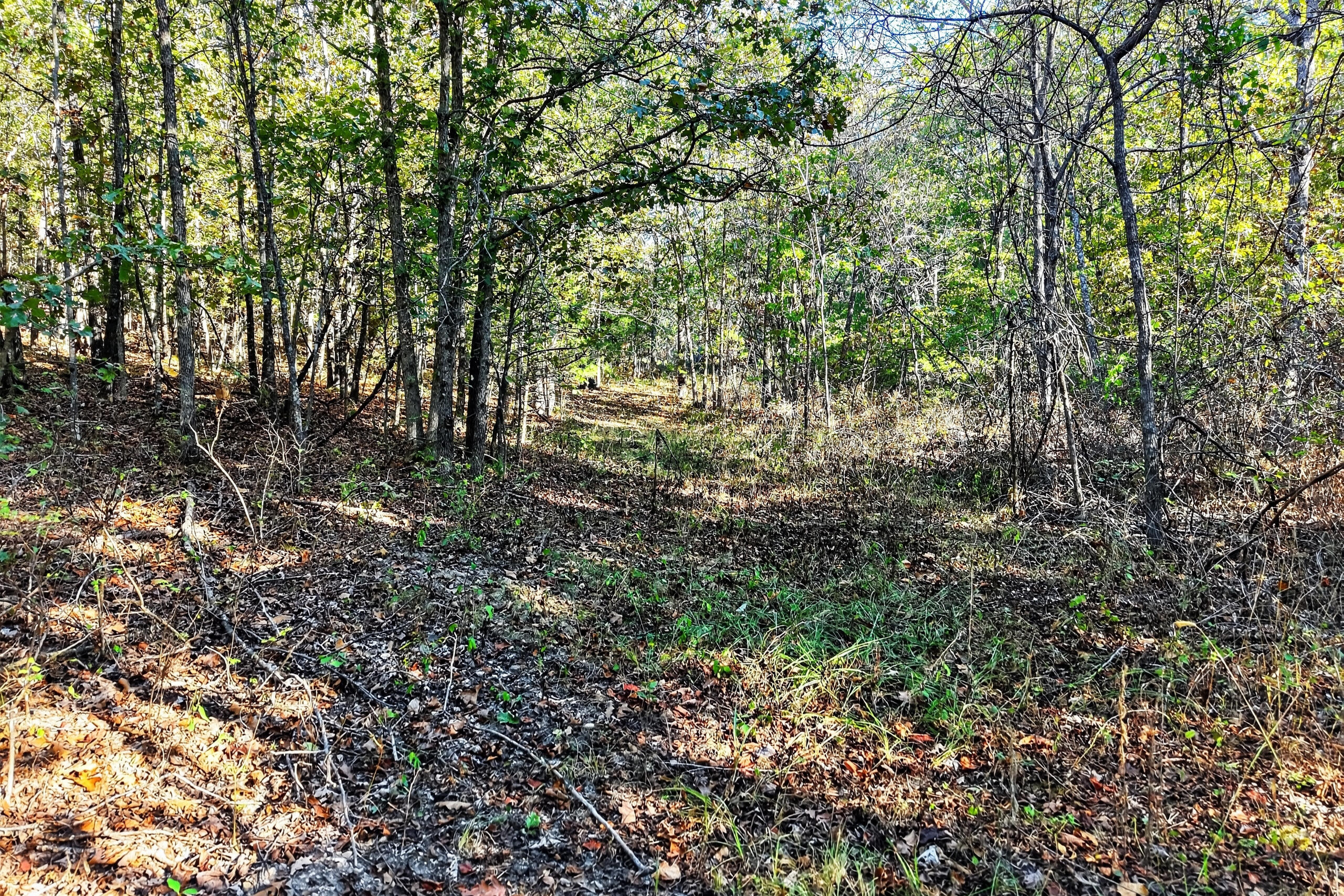 main property photo 81