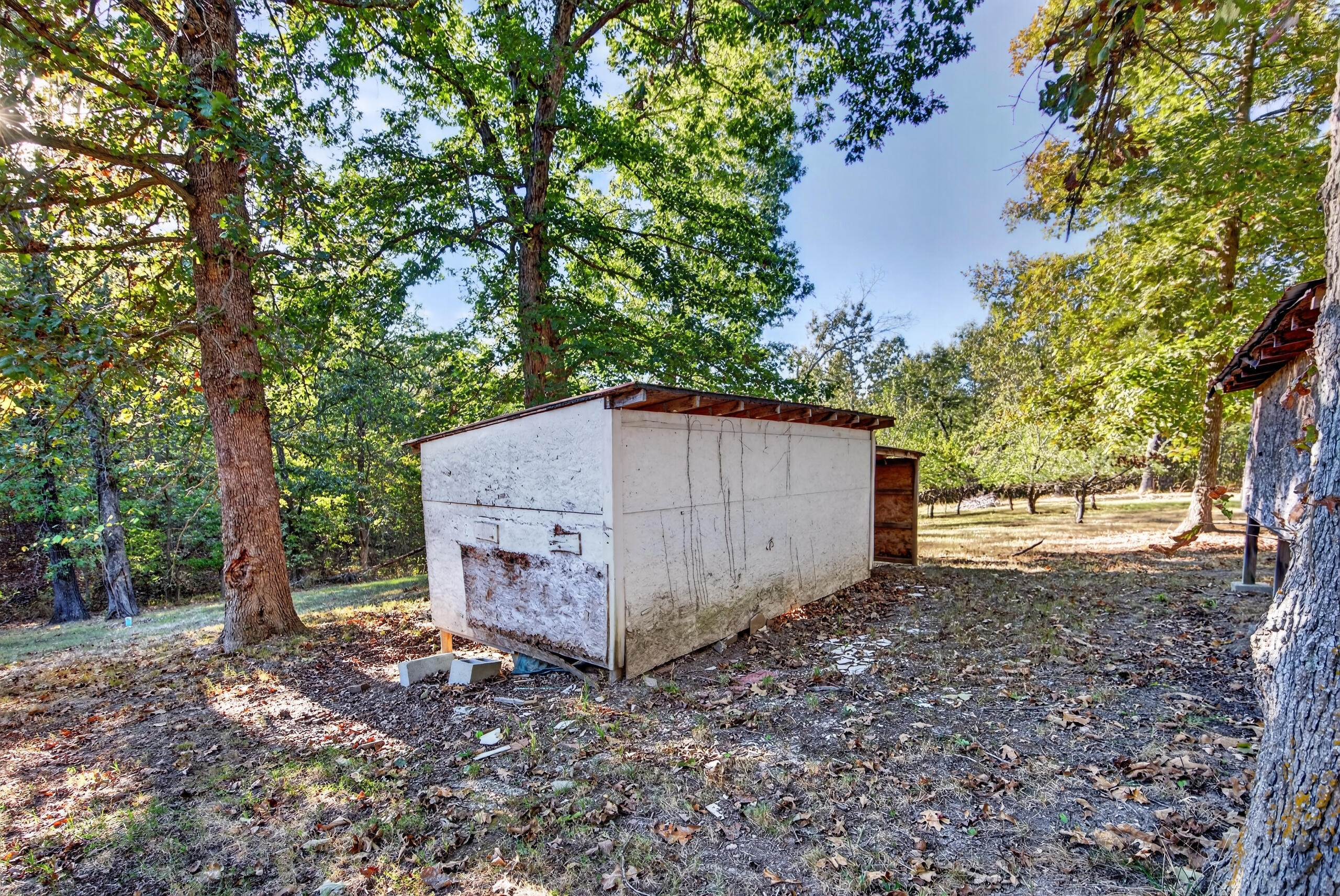 main property photo 99