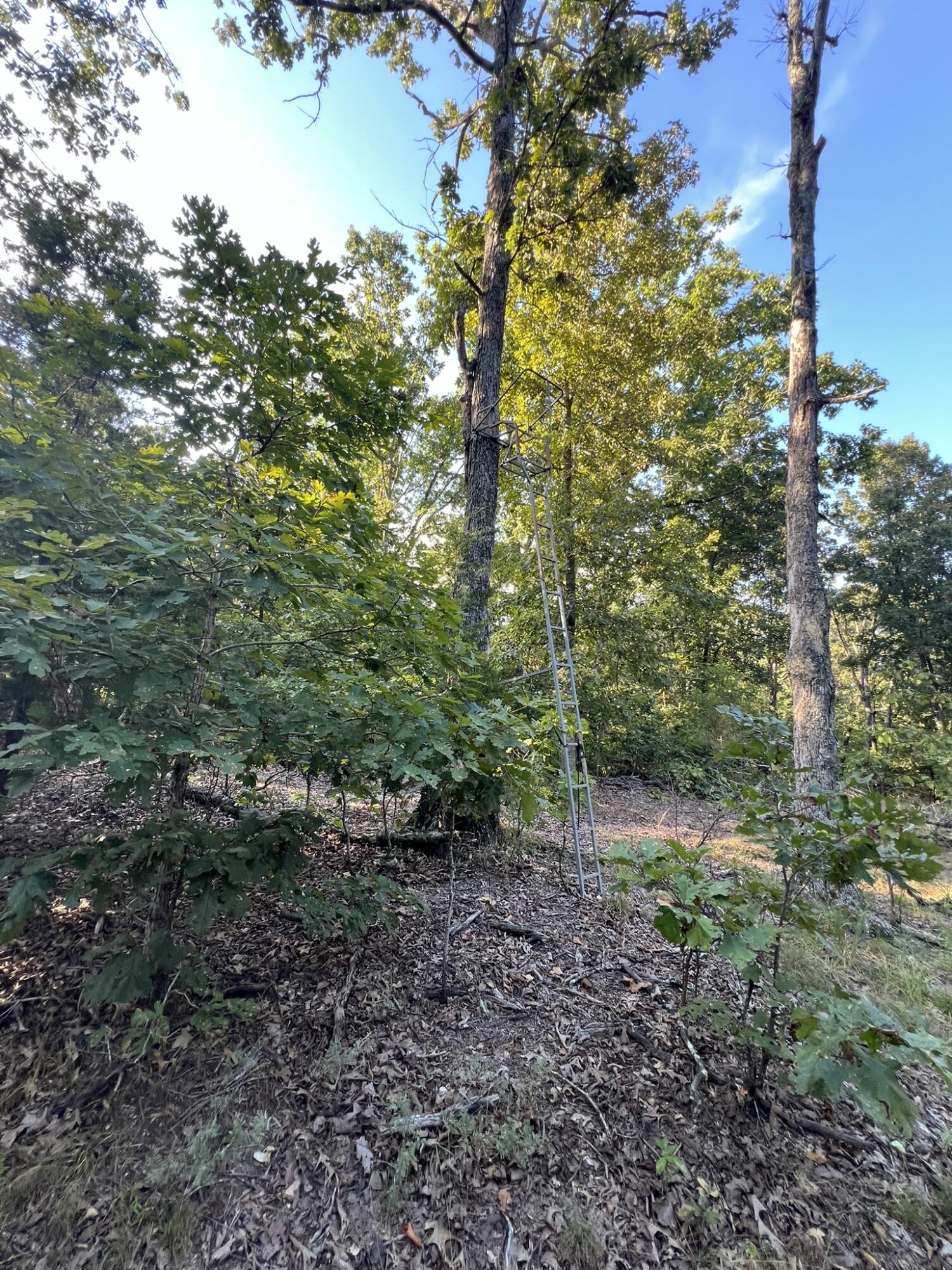 main property photo 101