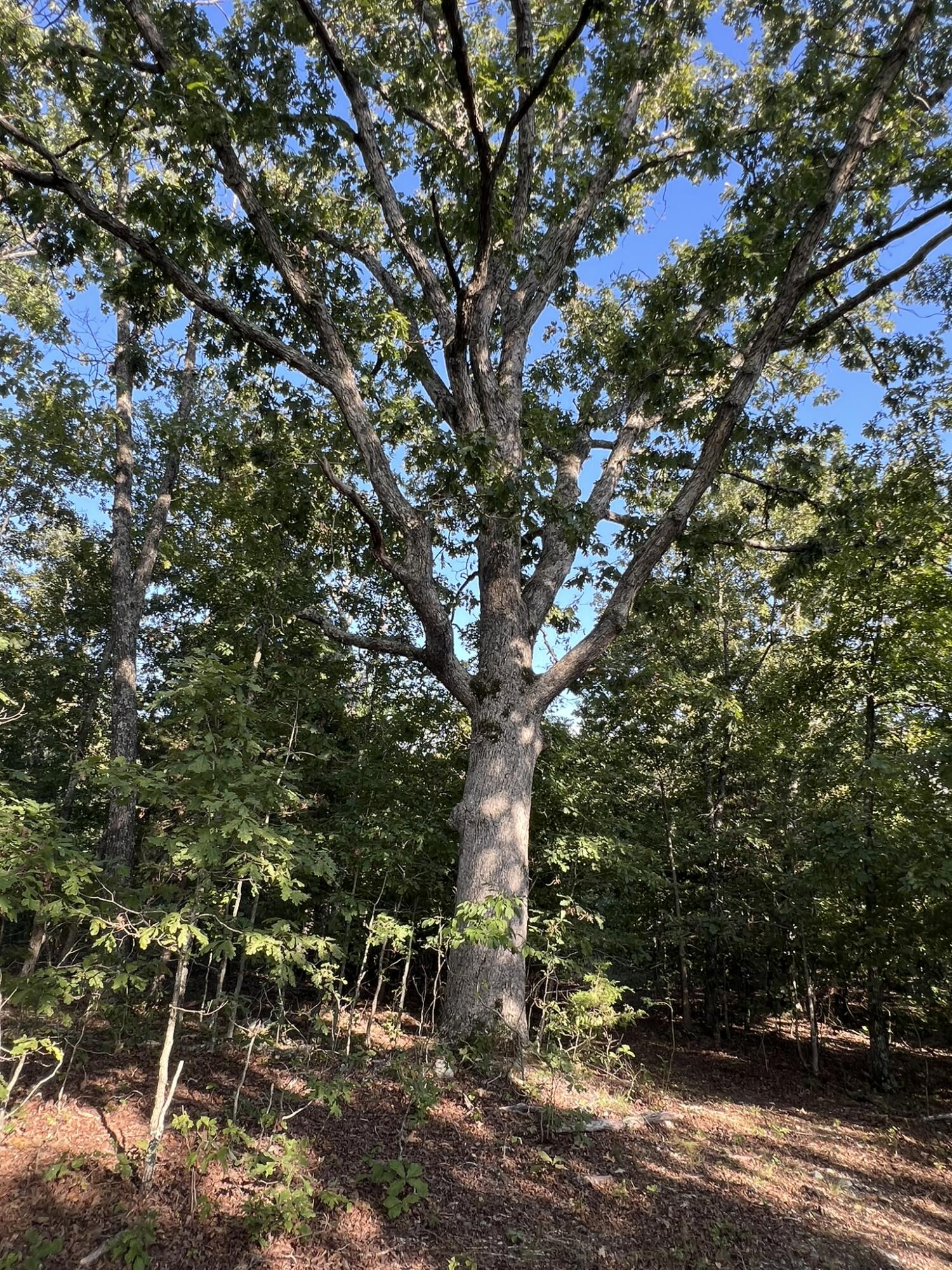 main property photo 103