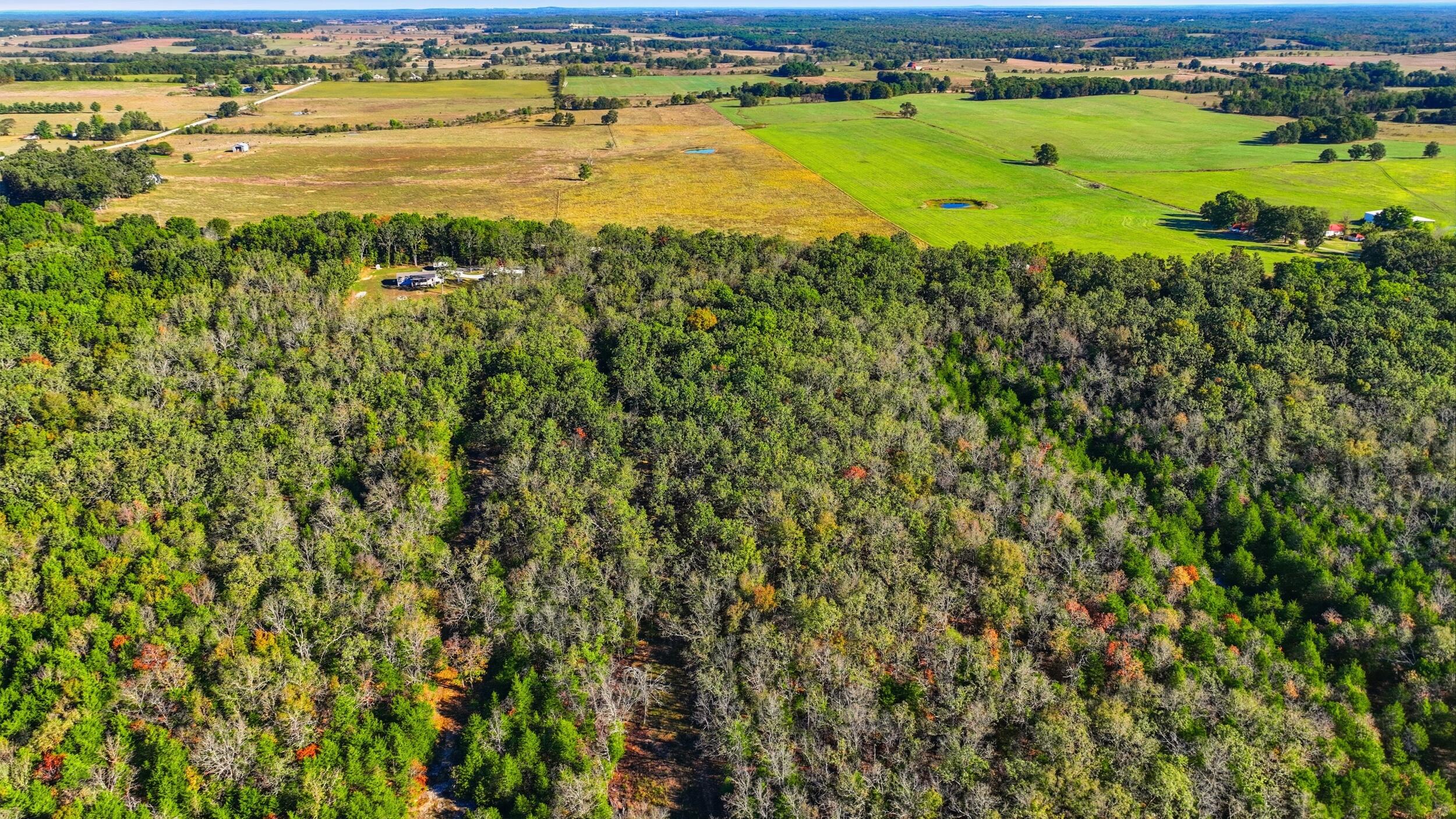 main property photo 46
