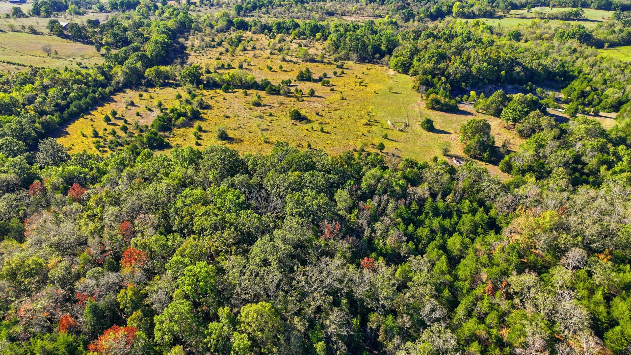 main property photo 50