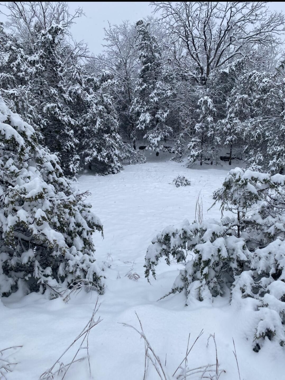 main property photo 67