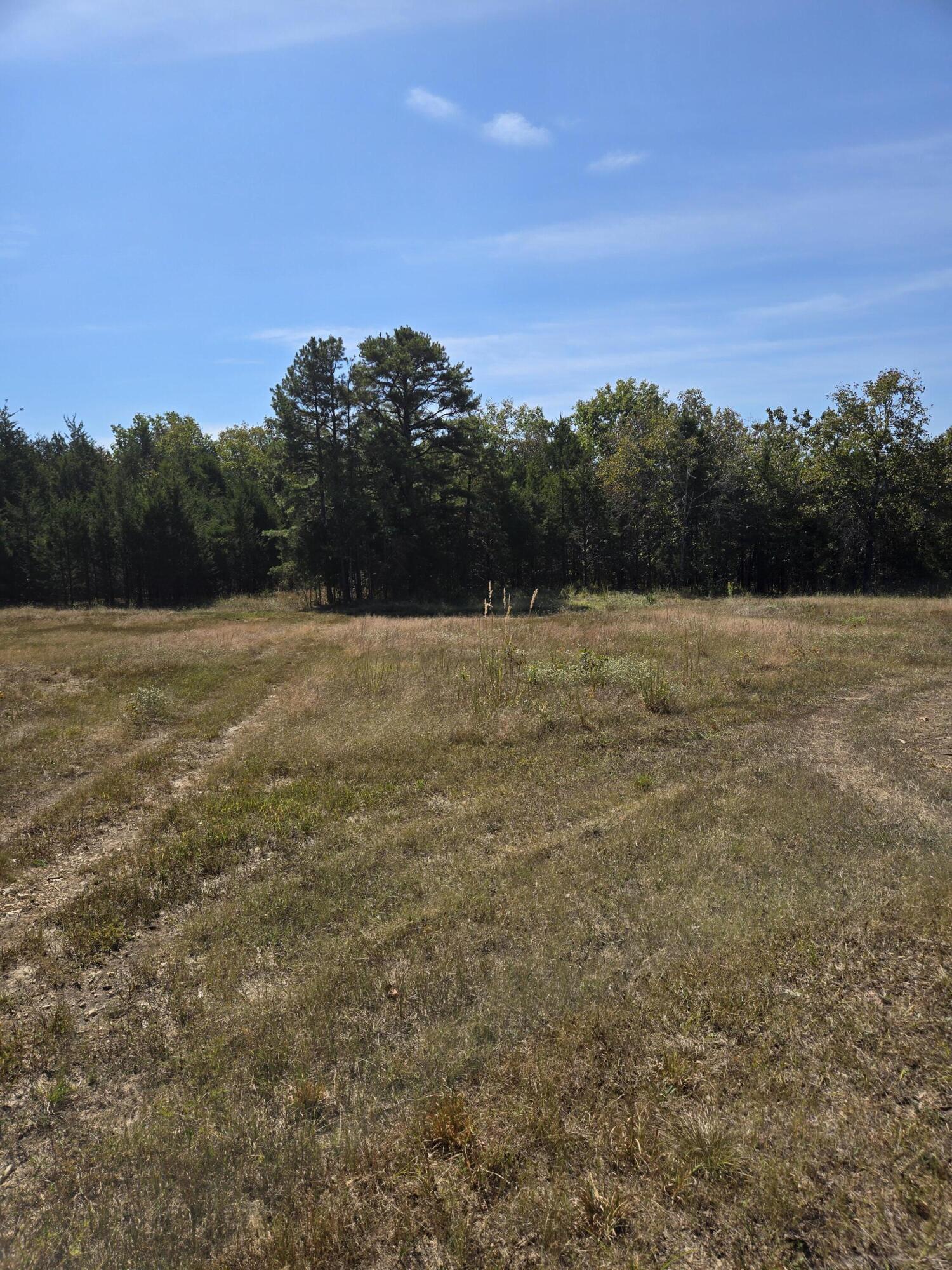 main property photo 71