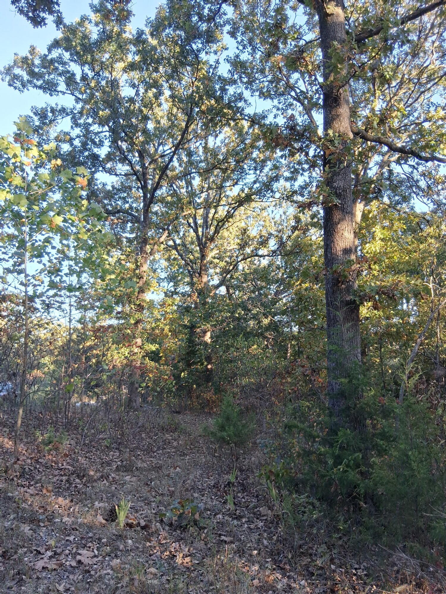 main property photo 7
