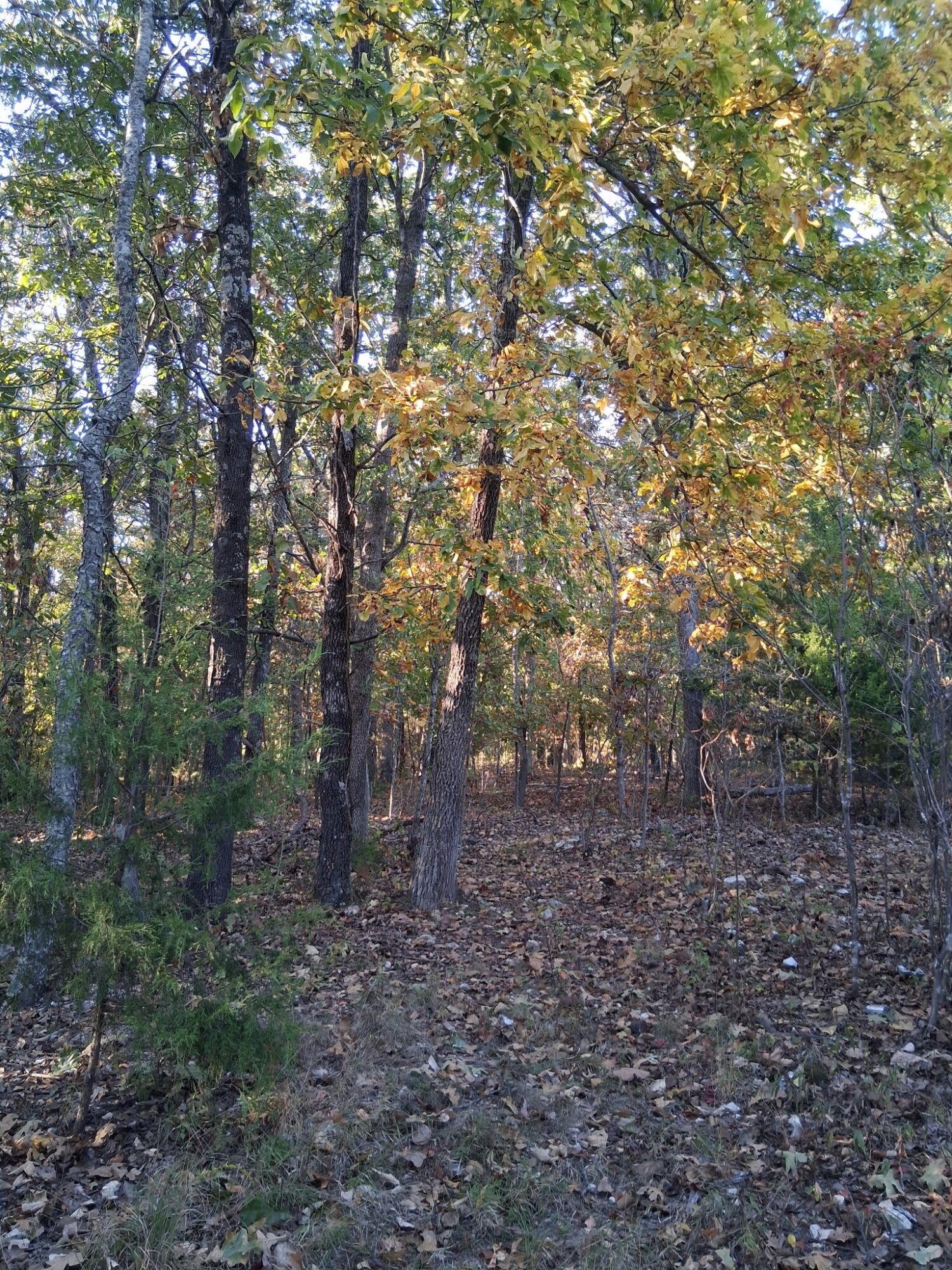 main property photo 8