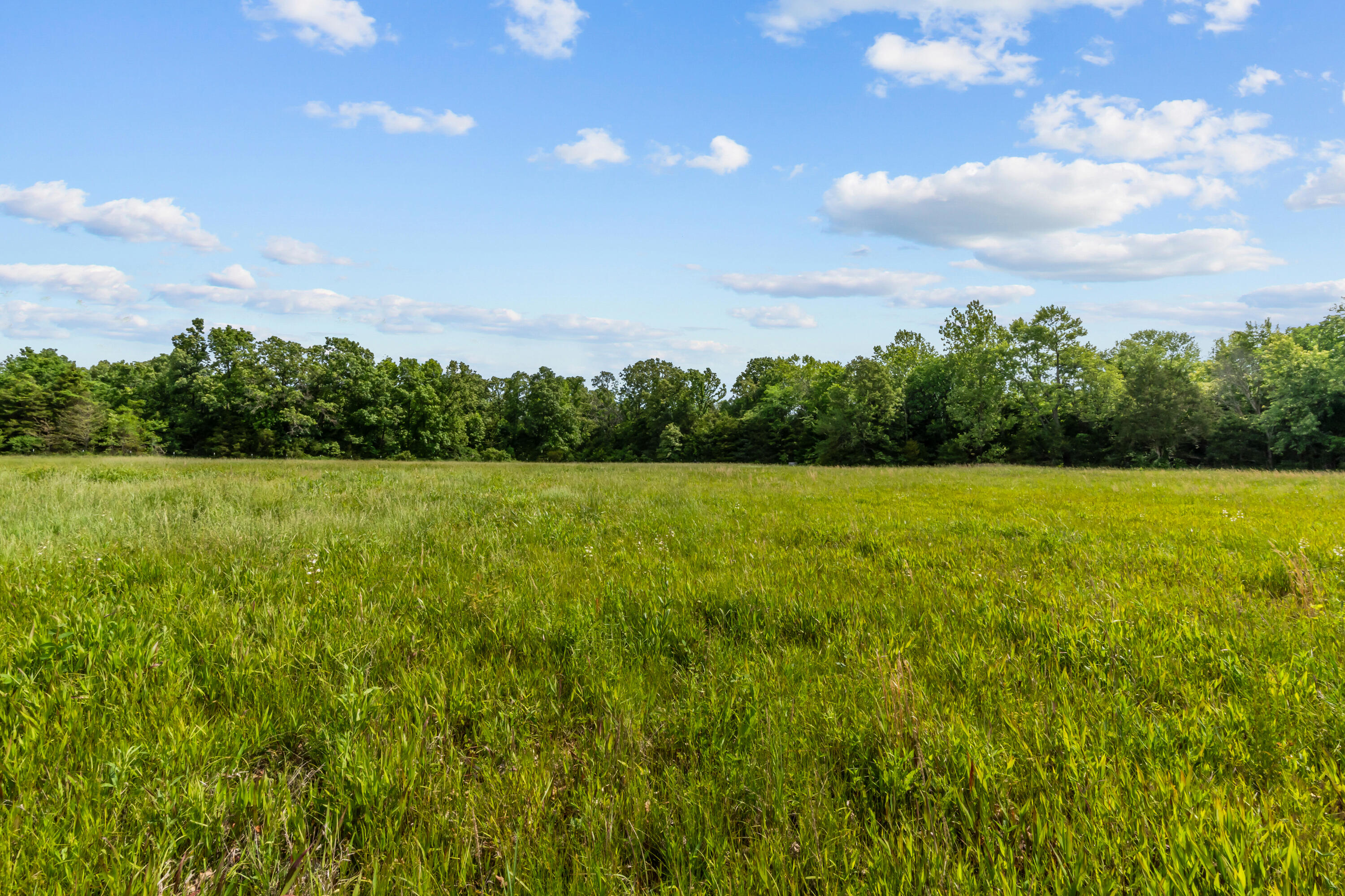 main property photo 65