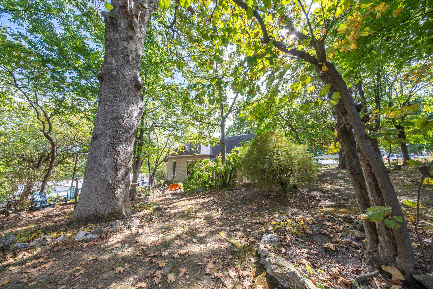 main property photo 58