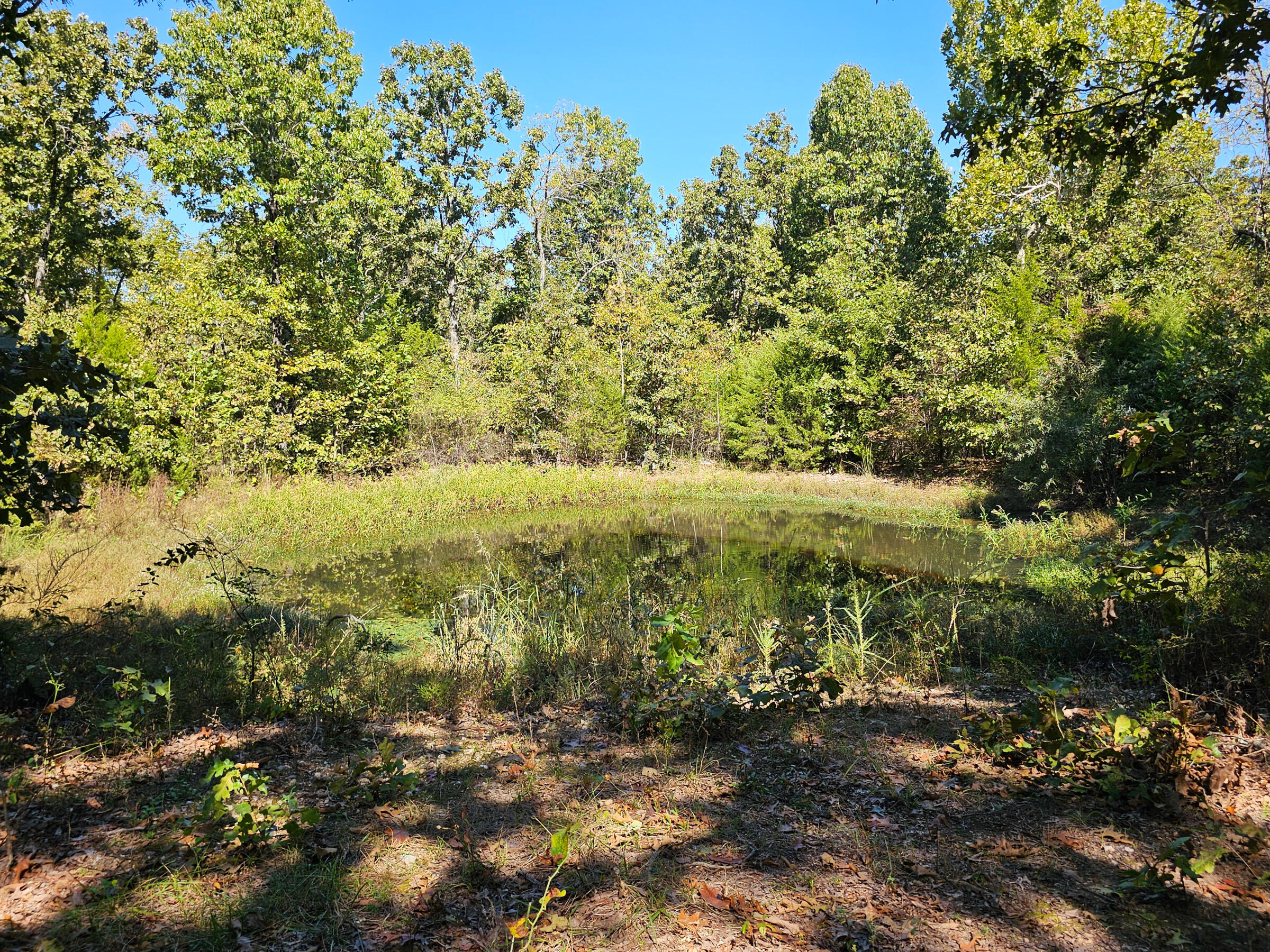 main property photo 14