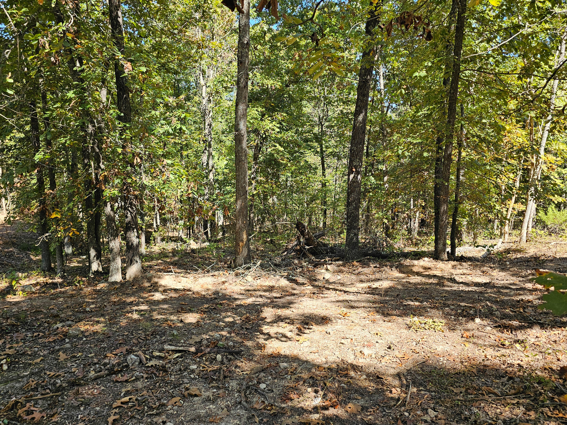 main property photo 15