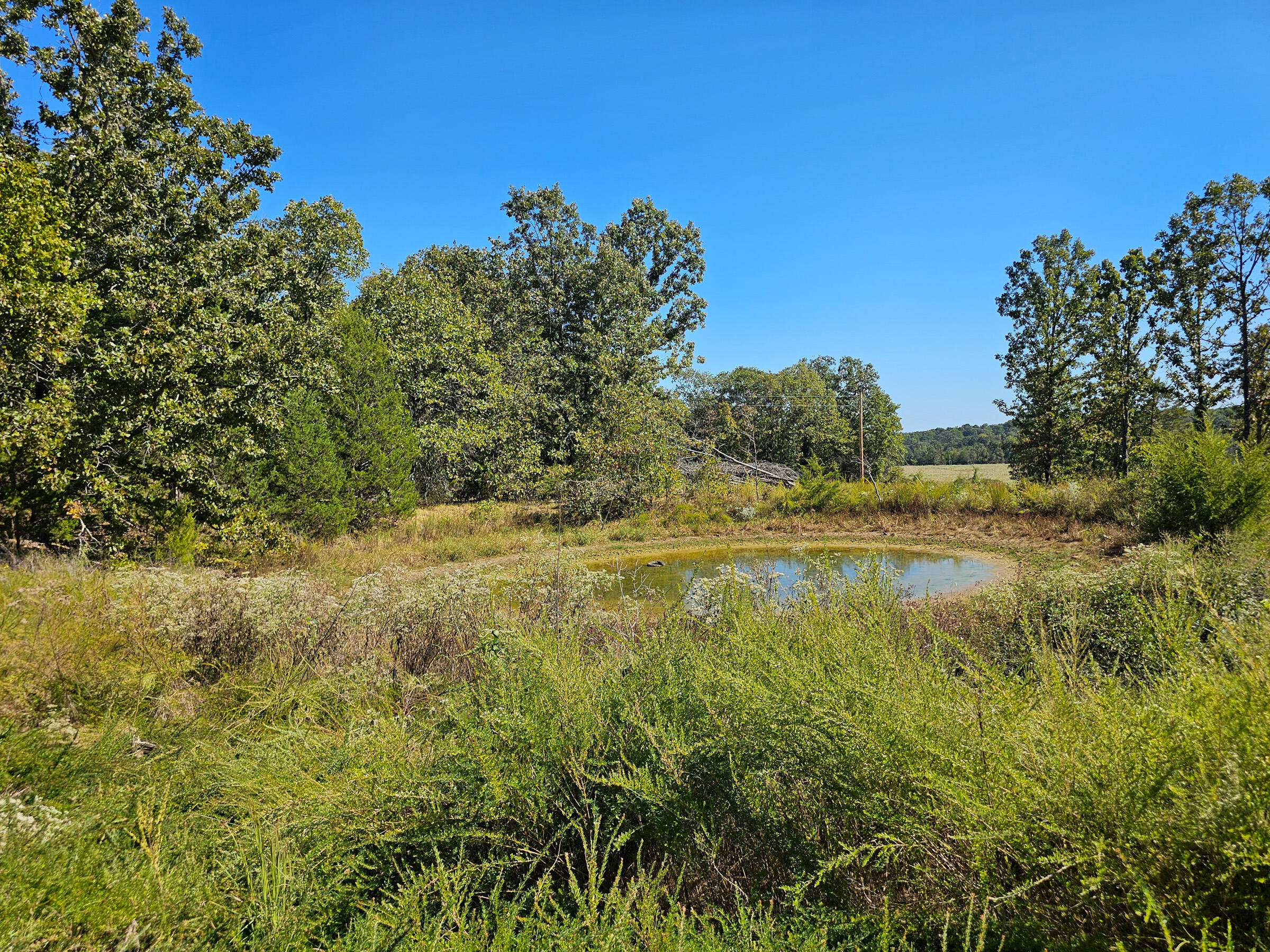 main property photo 17
