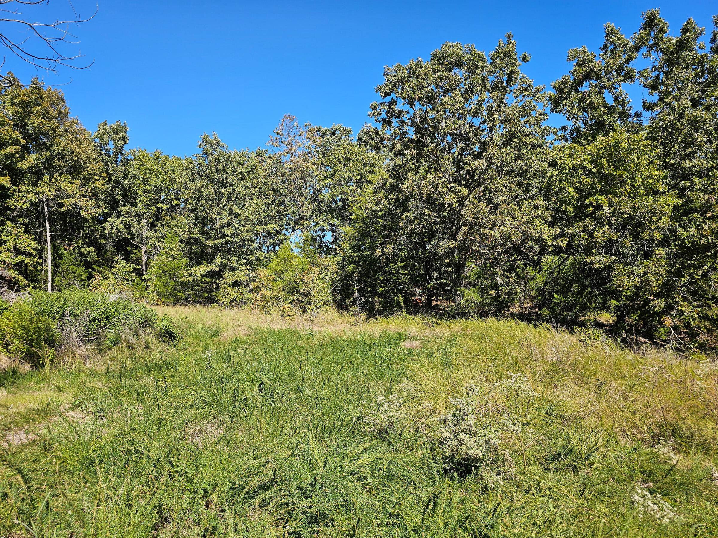 main property photo 18