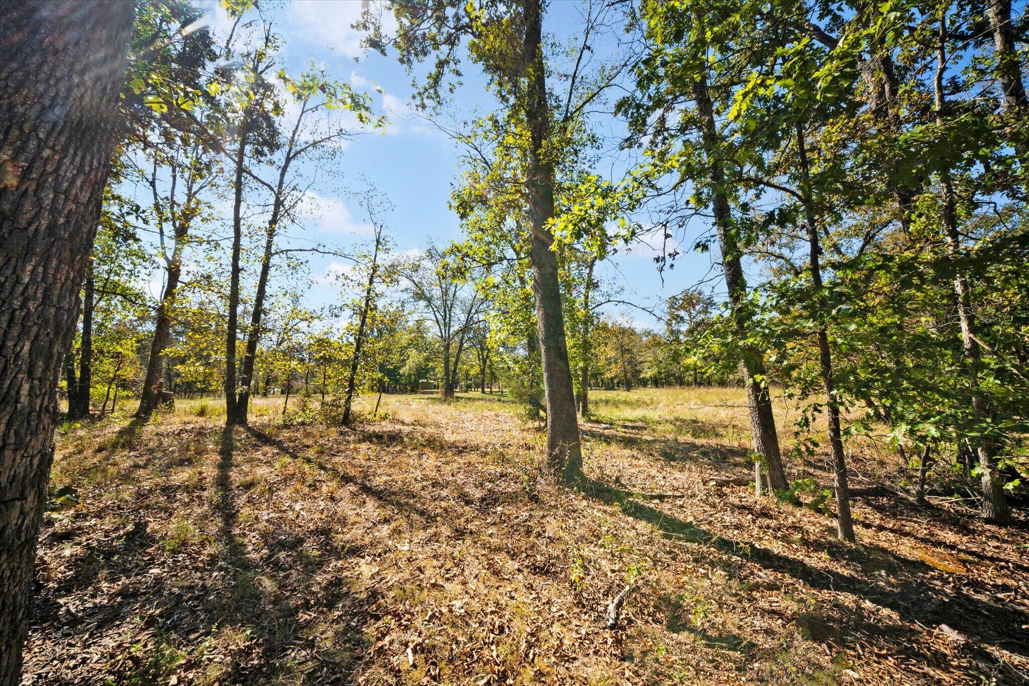 main property photo 41