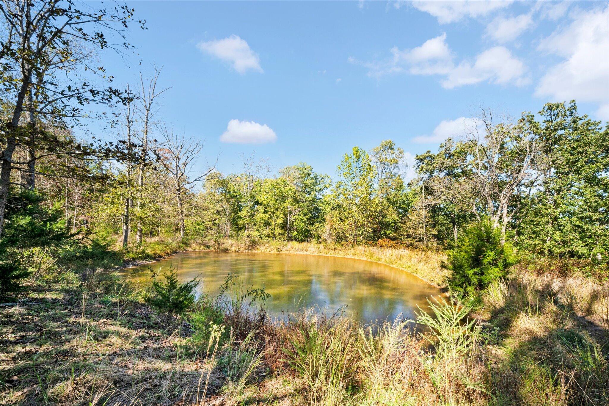 main property photo 42
