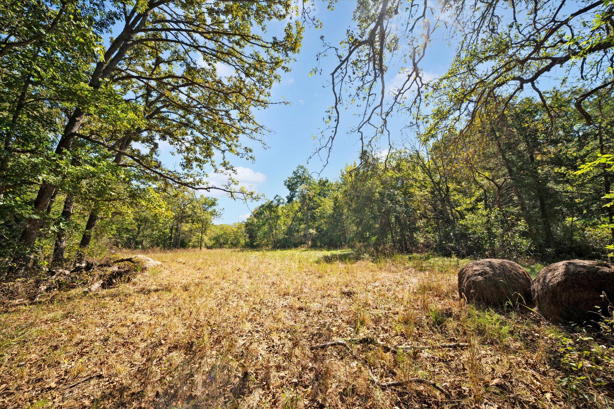 main property photo 43