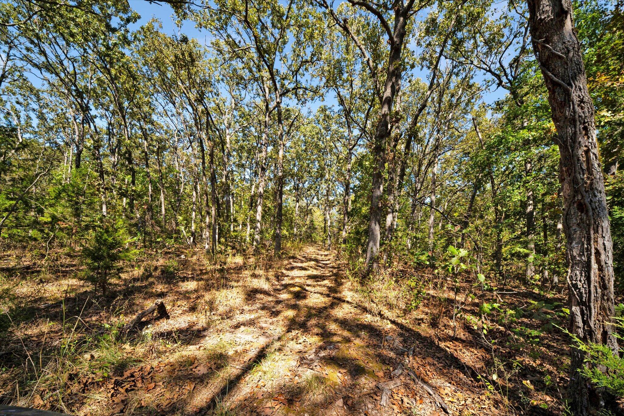 main property photo 44