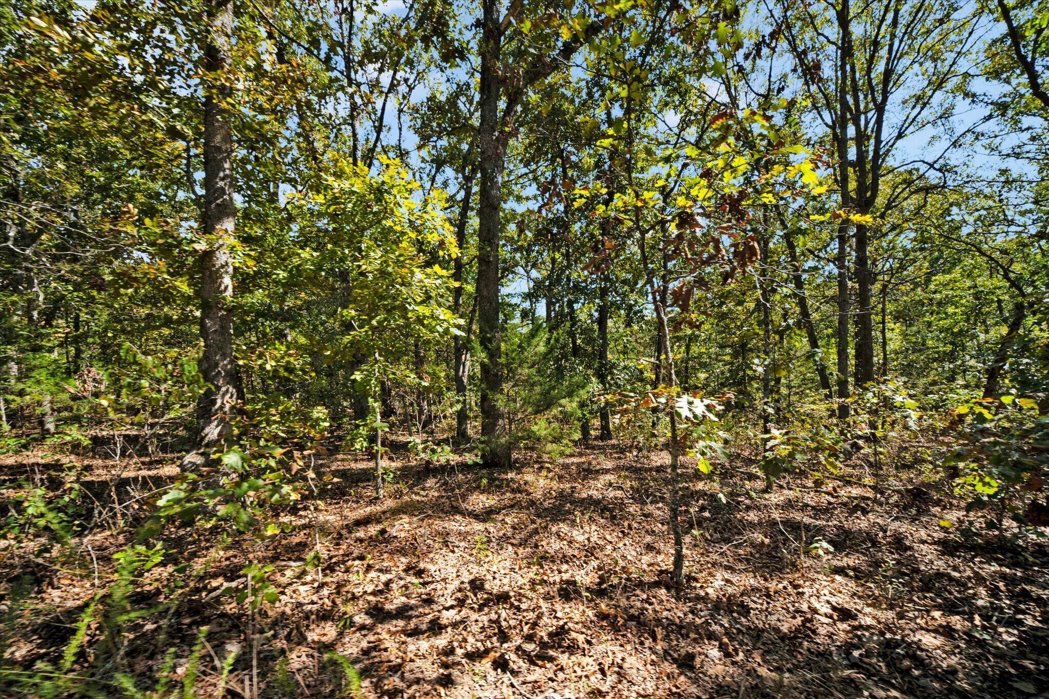 main property photo 45