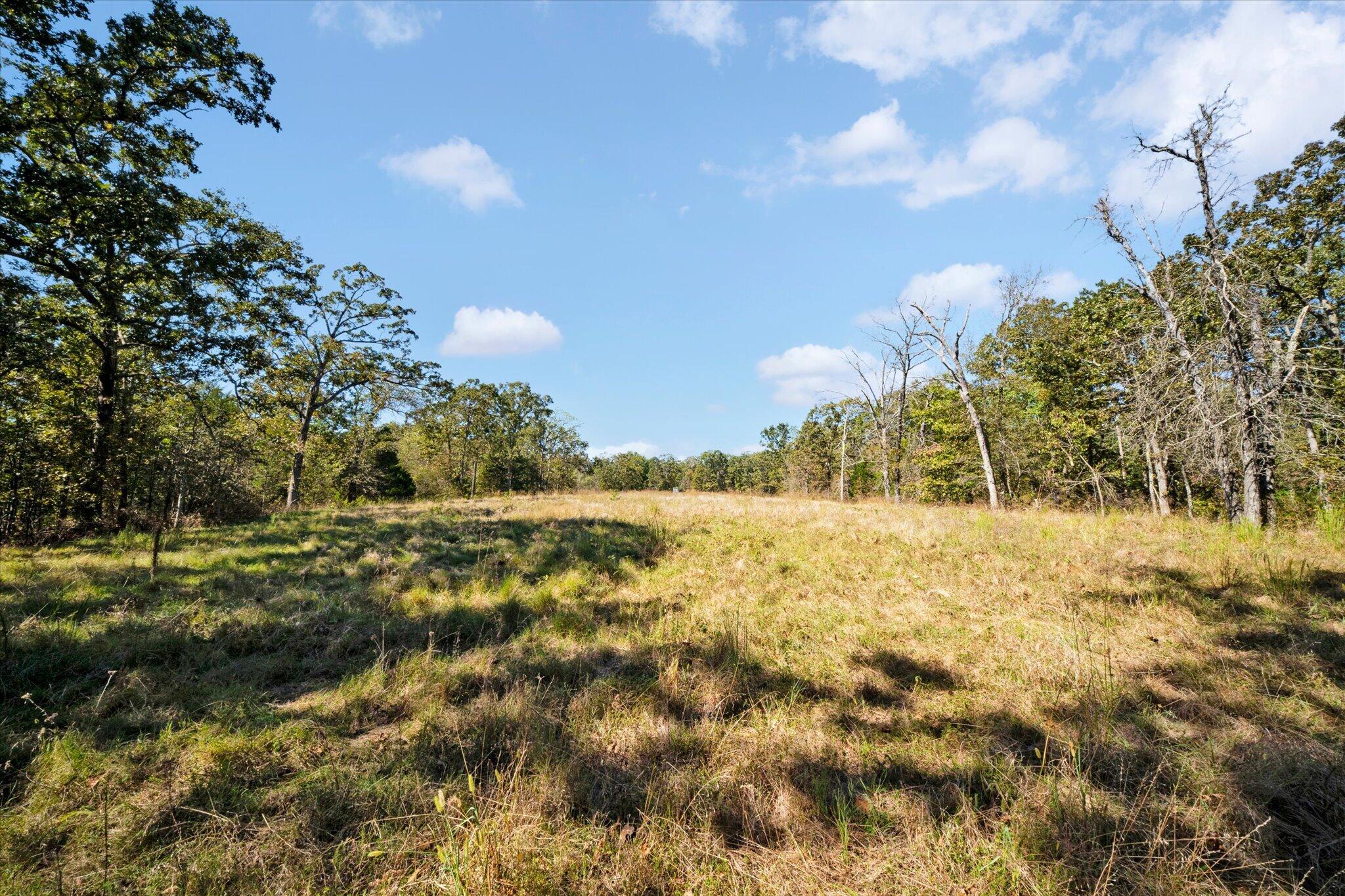 main property photo 46