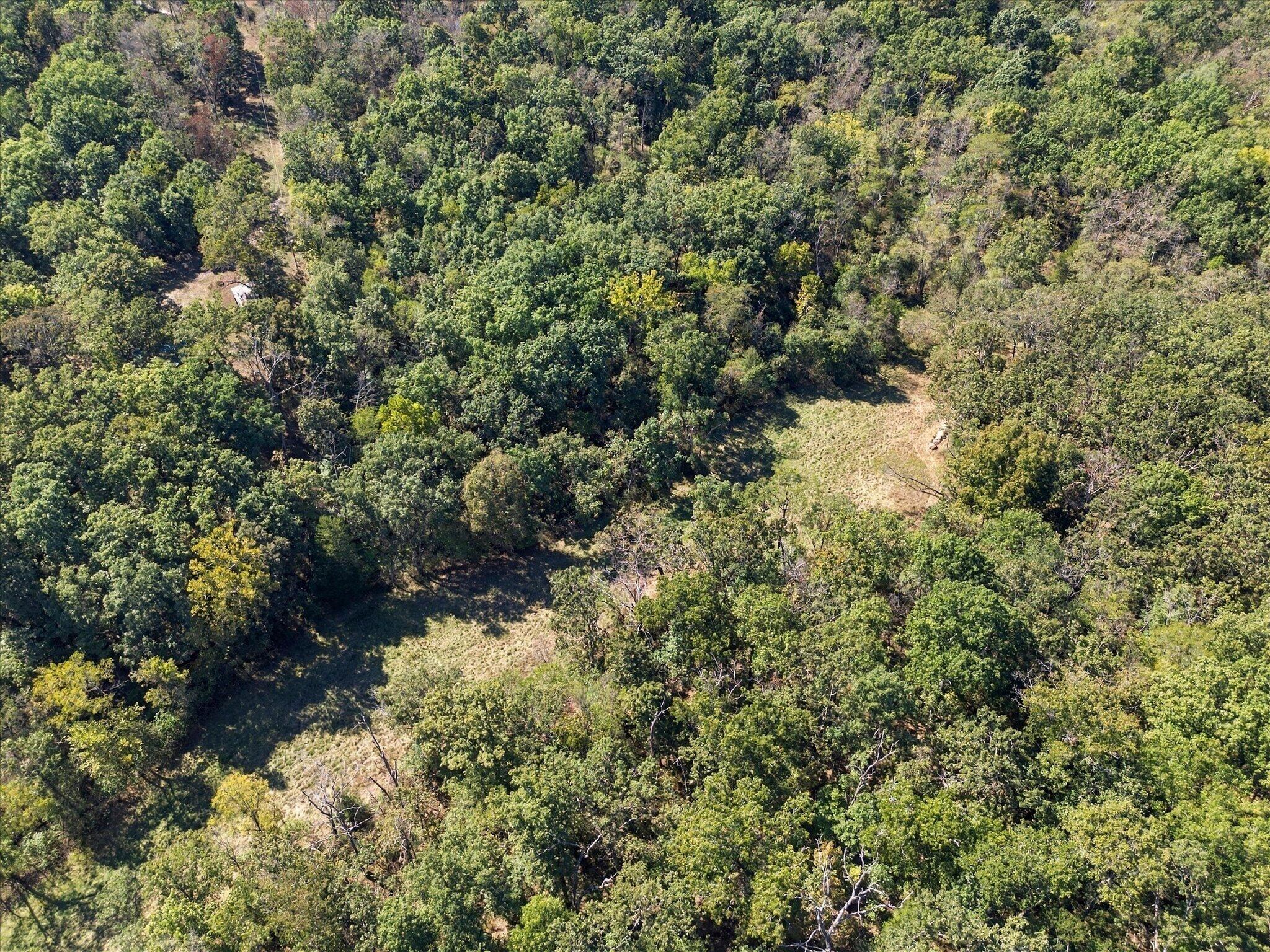 main property photo 56