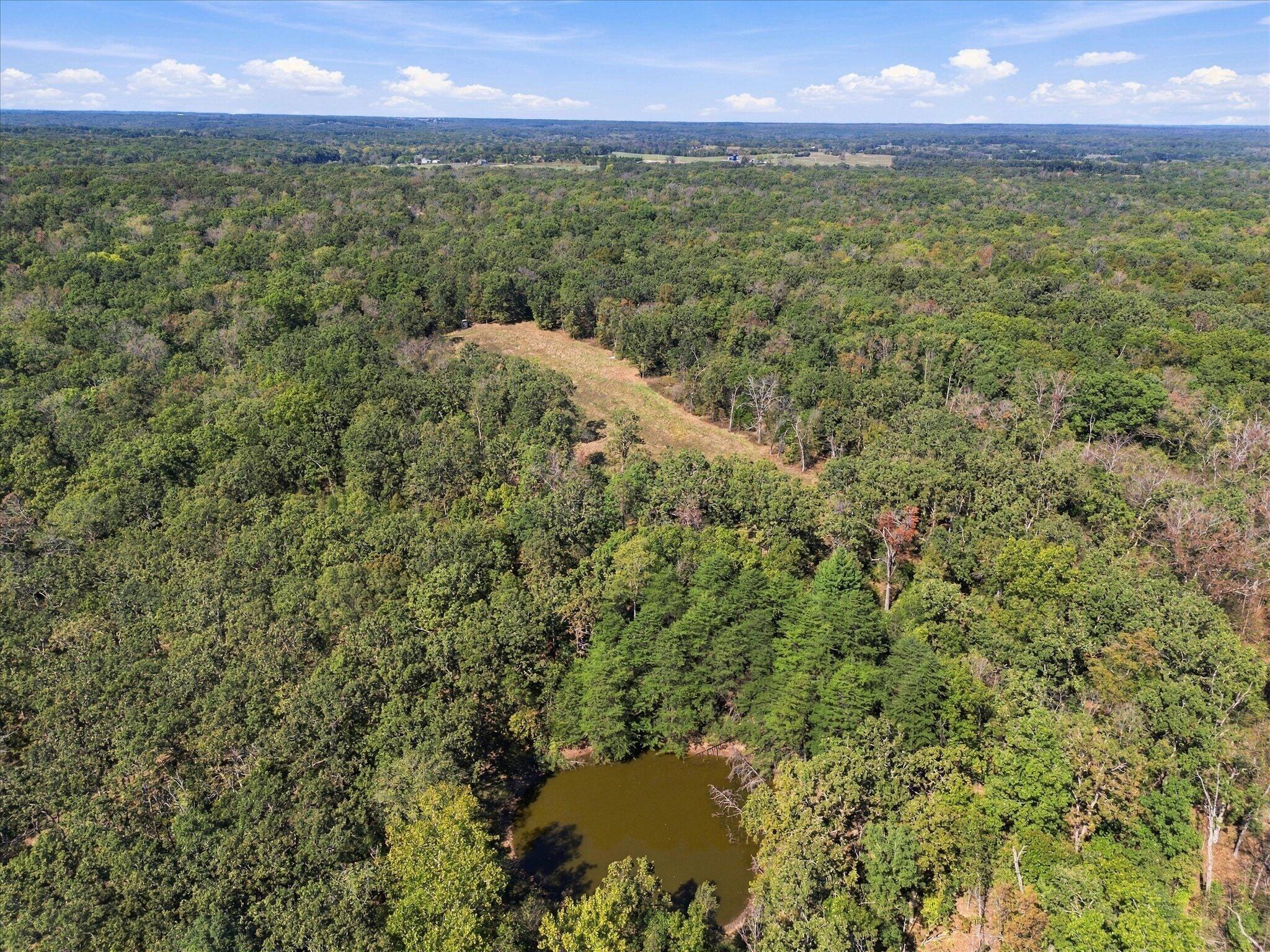 main property photo 58