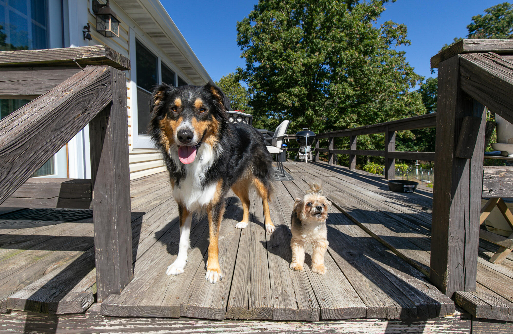 main property photo 49