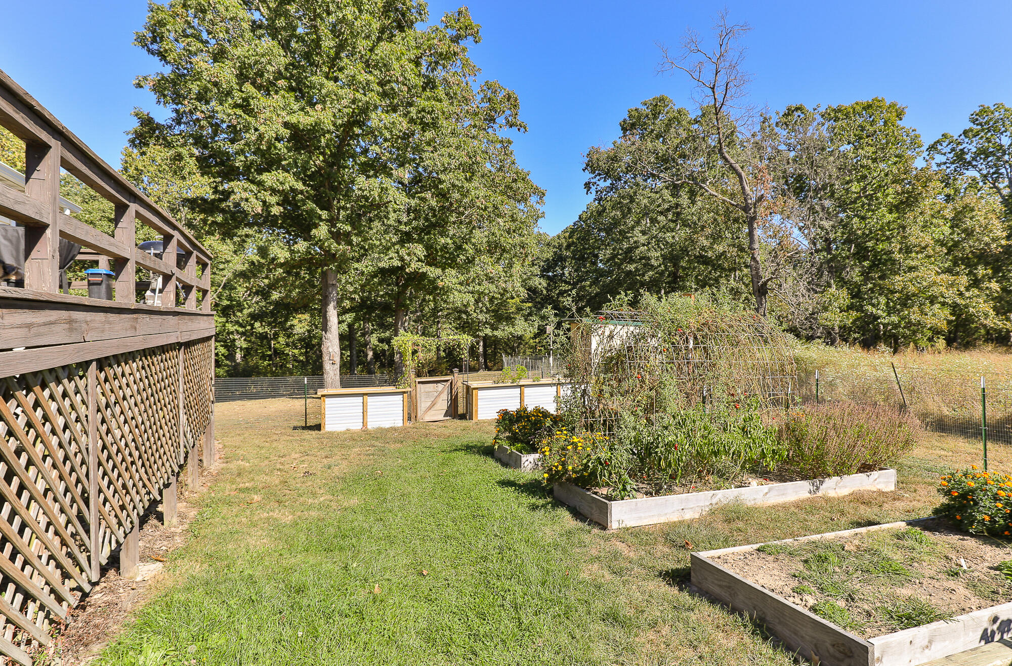 main property photo 53