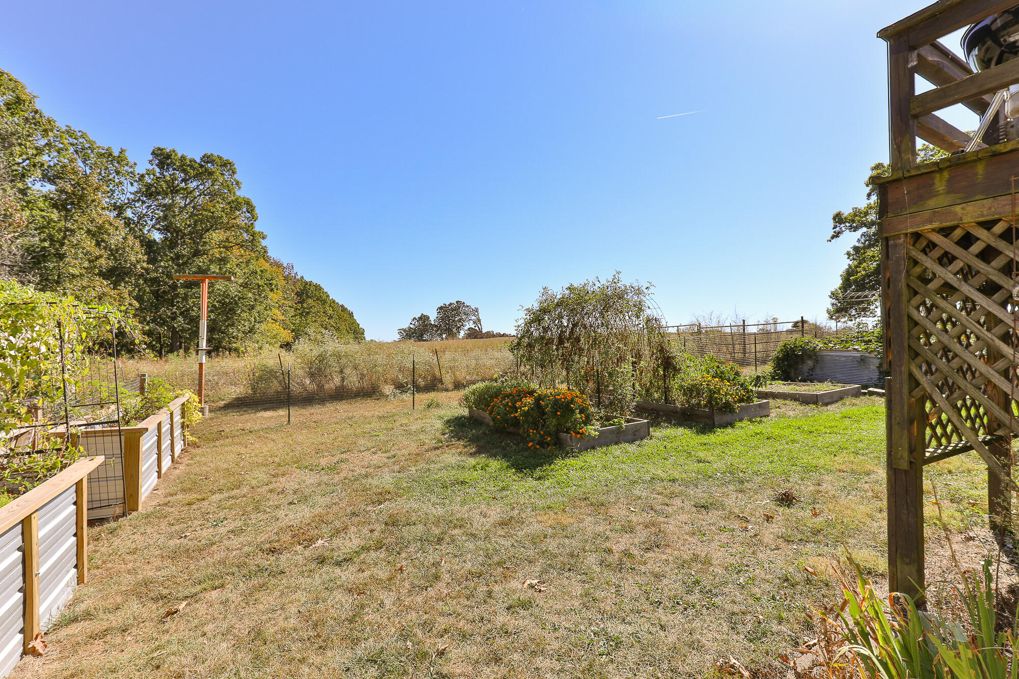 main property photo 54