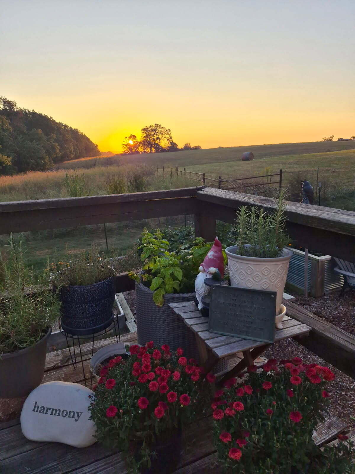 main property photo 55