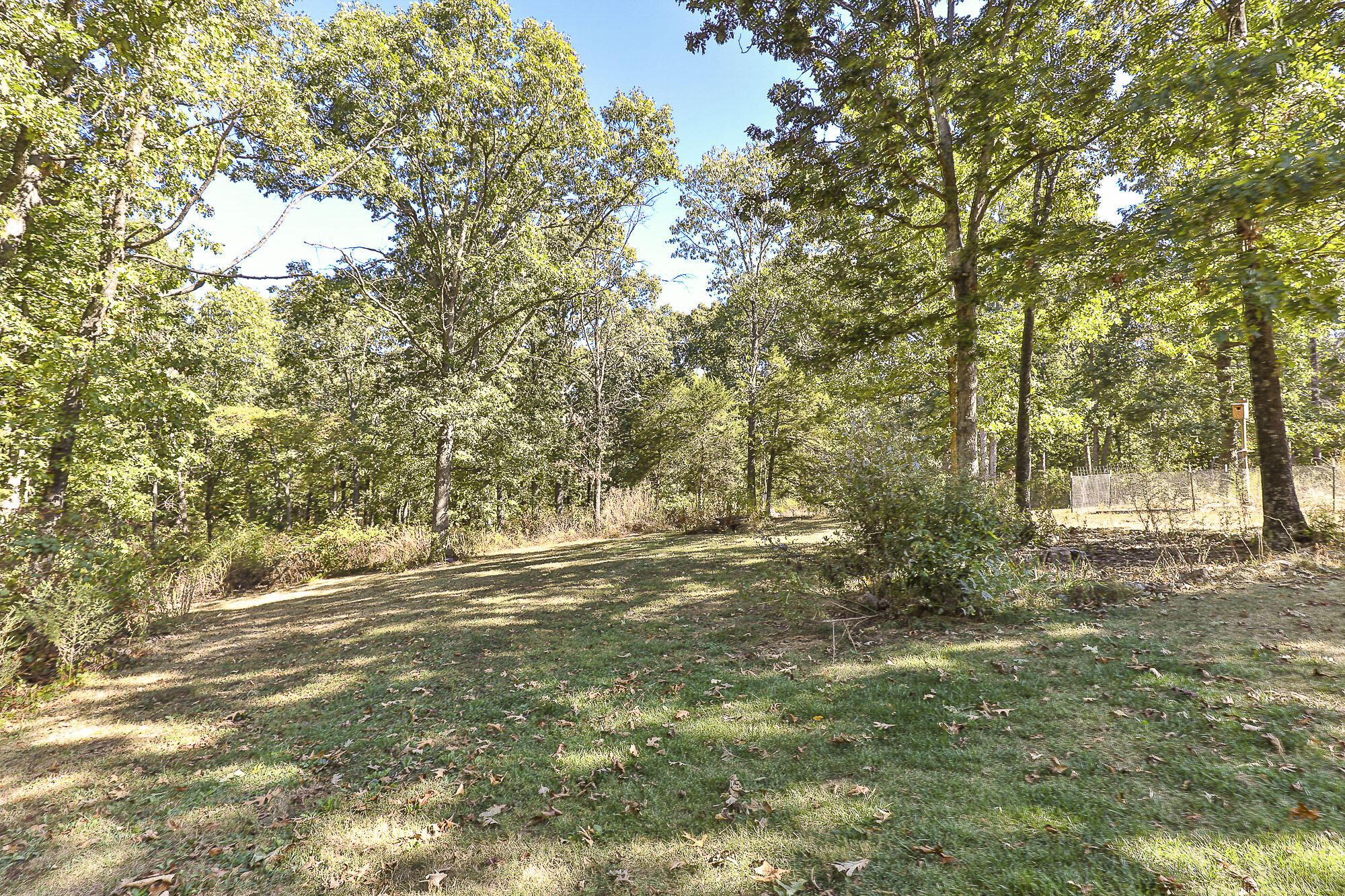 main property photo 61