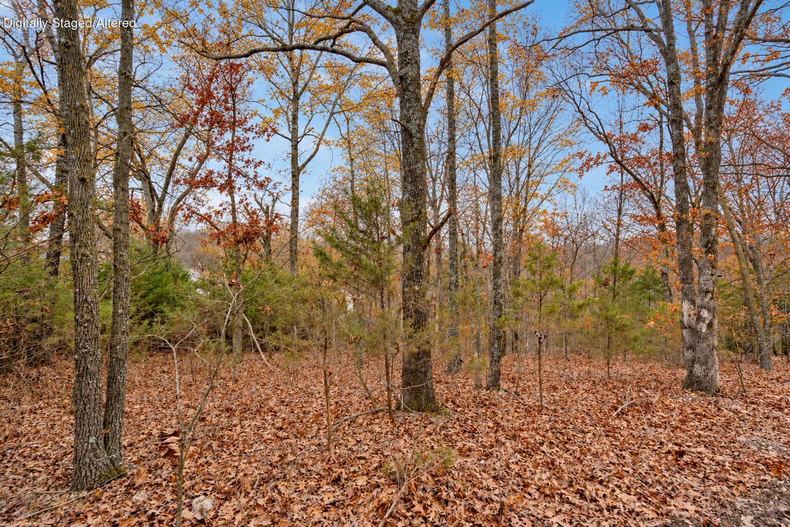 main property photo 4