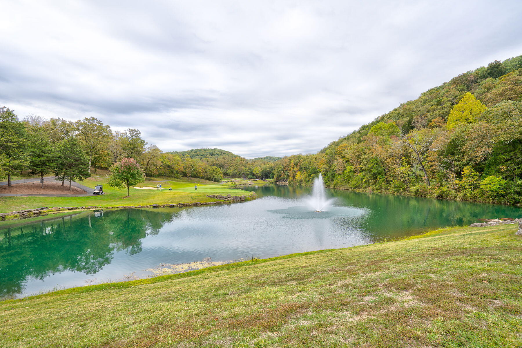 main property photo 53
