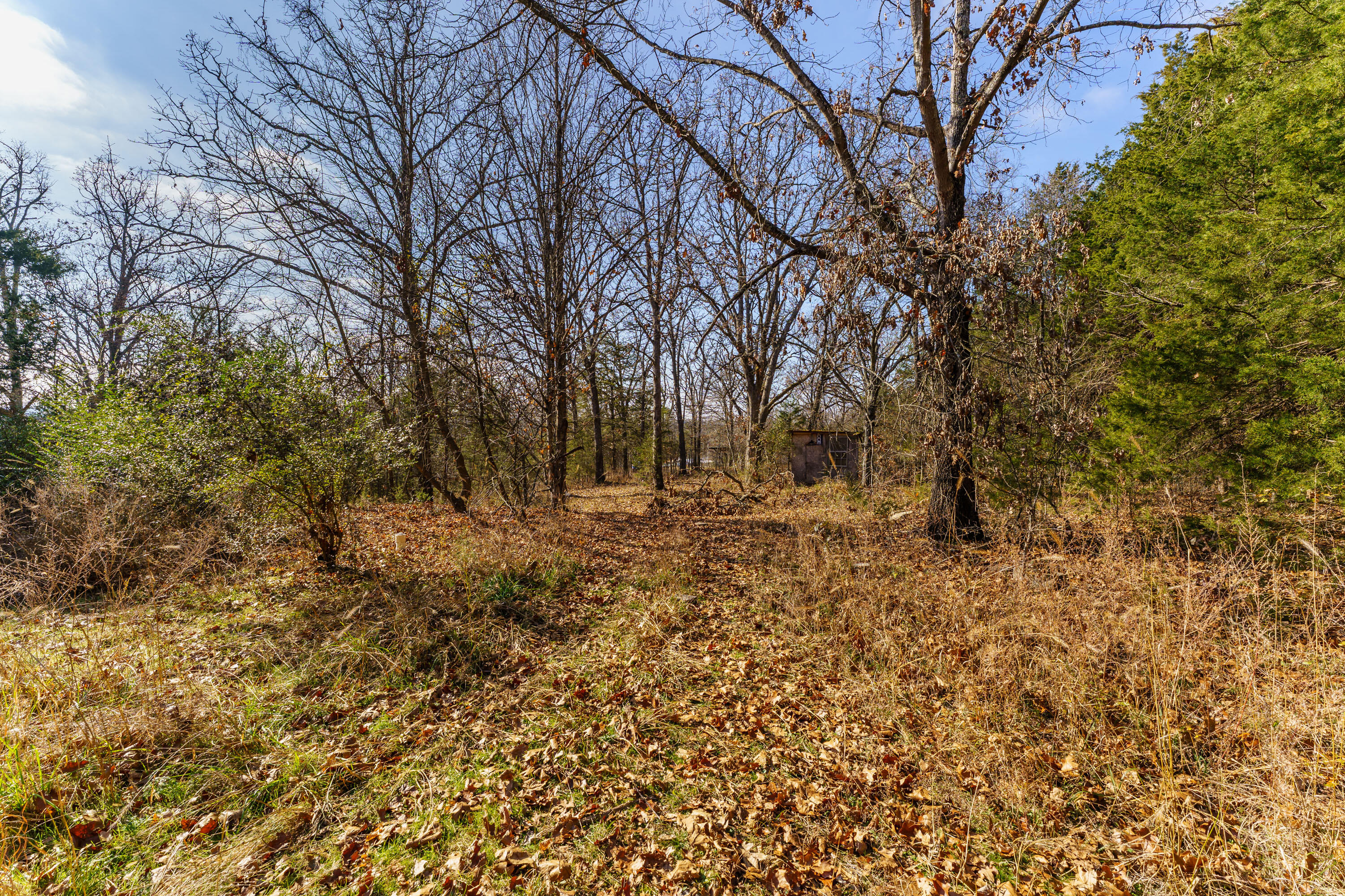 main property photo 7