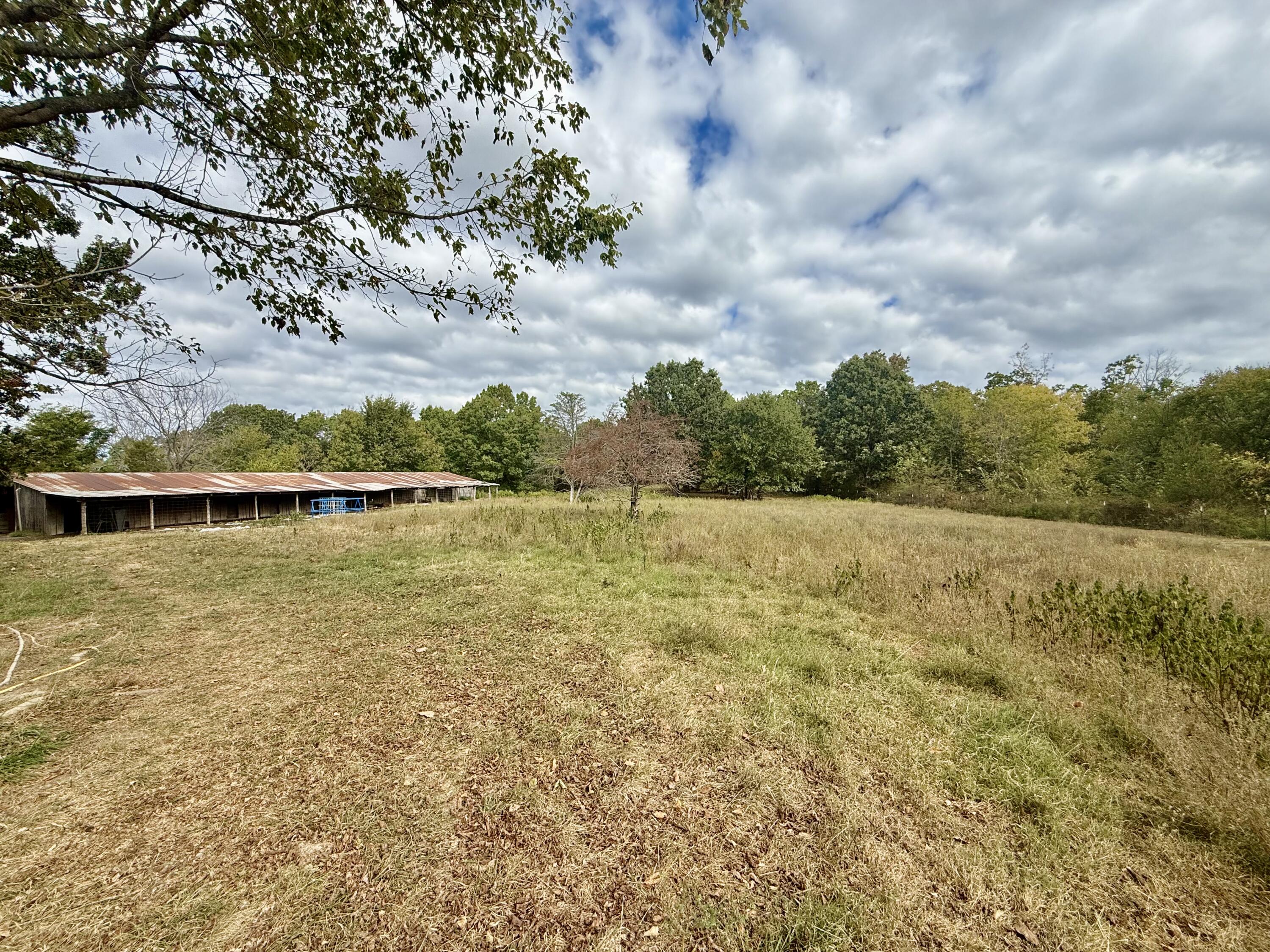 main property photo 29
