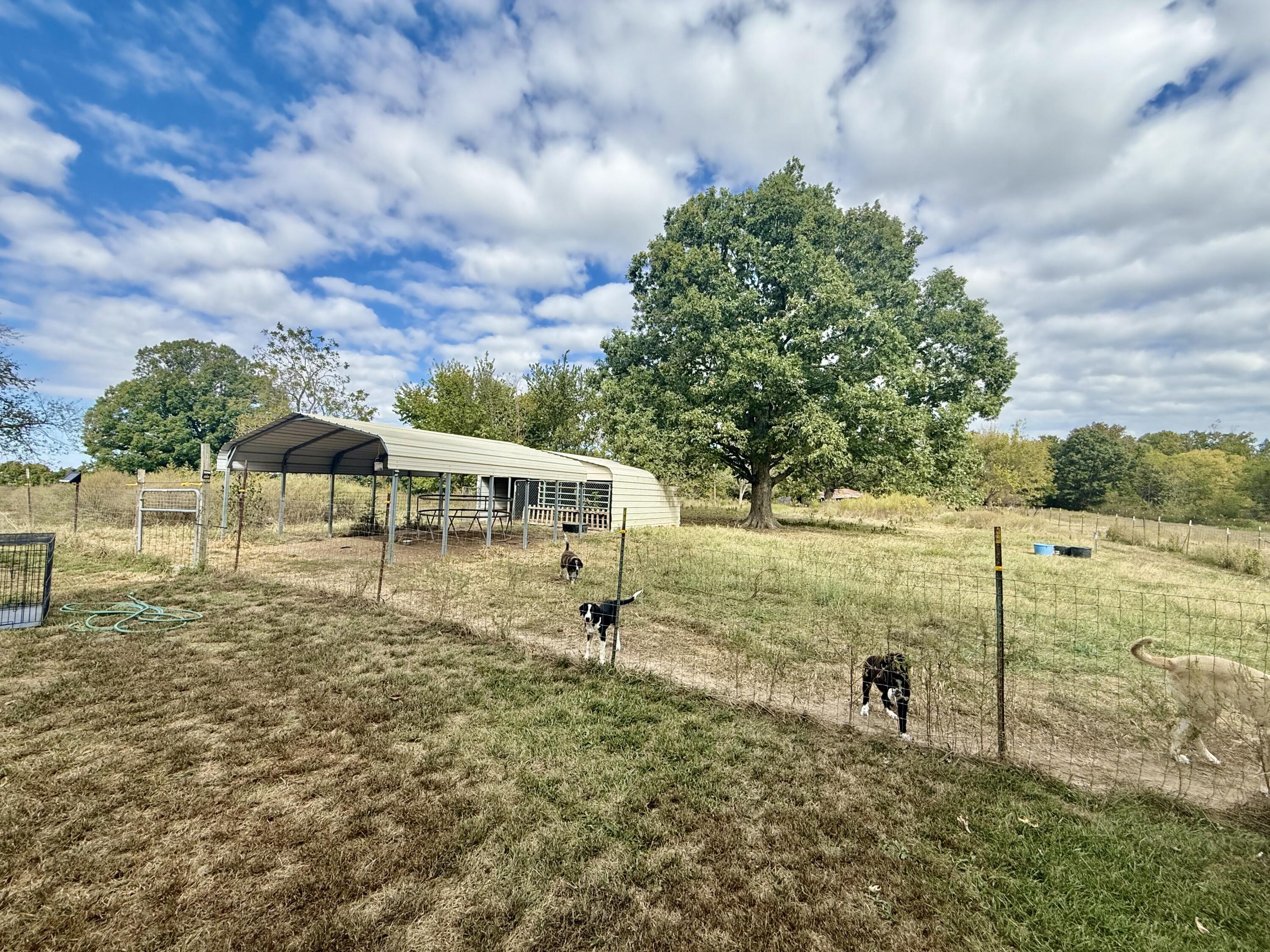 main property photo 38