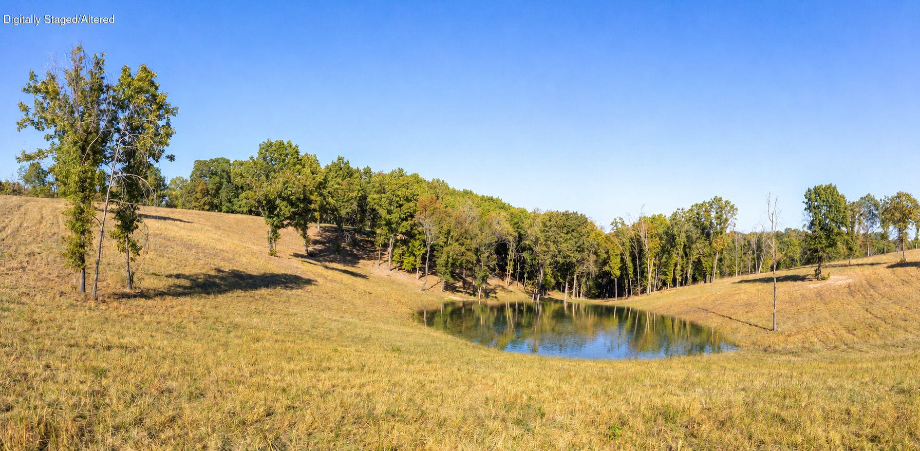 main property photo 12