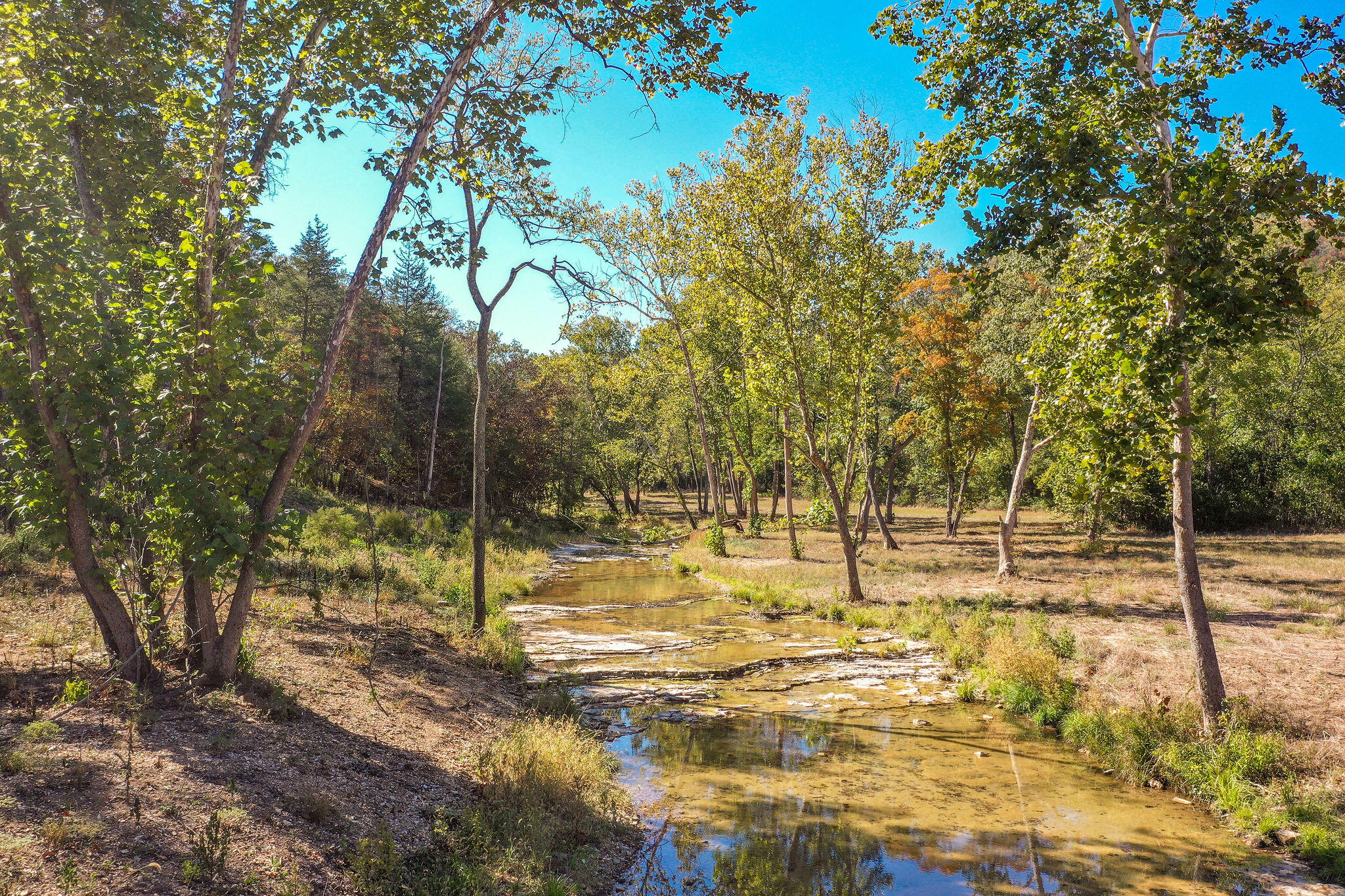 main property photo 13