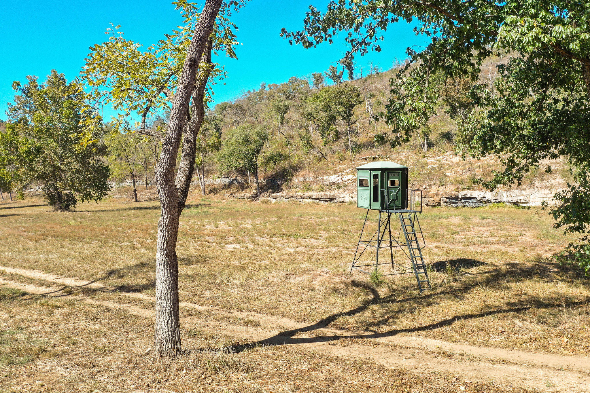main property photo 14