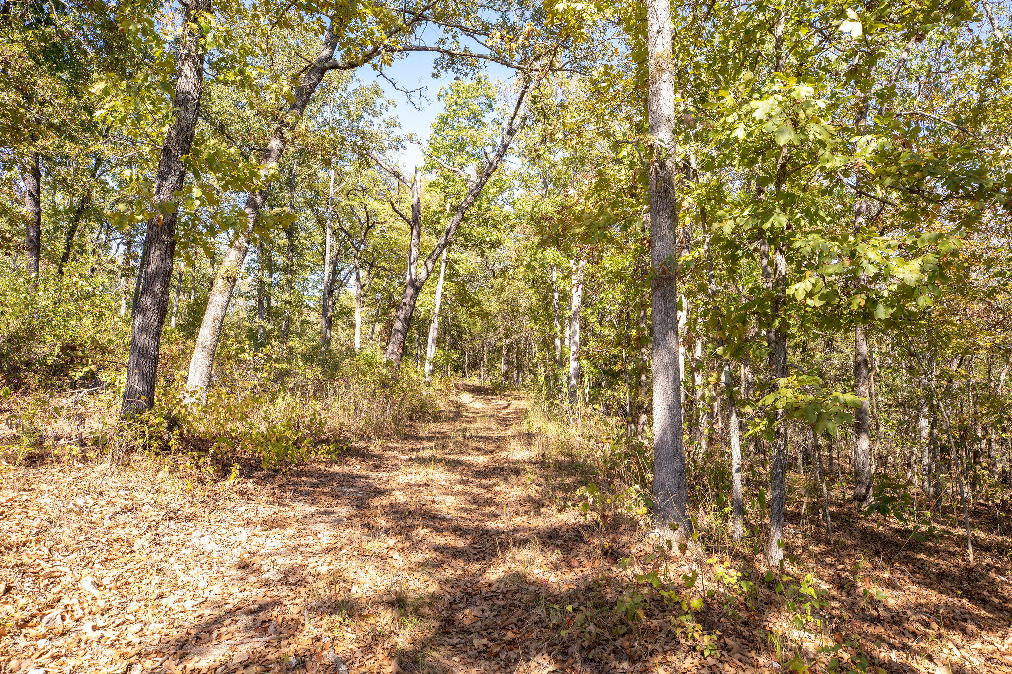 main property photo 36