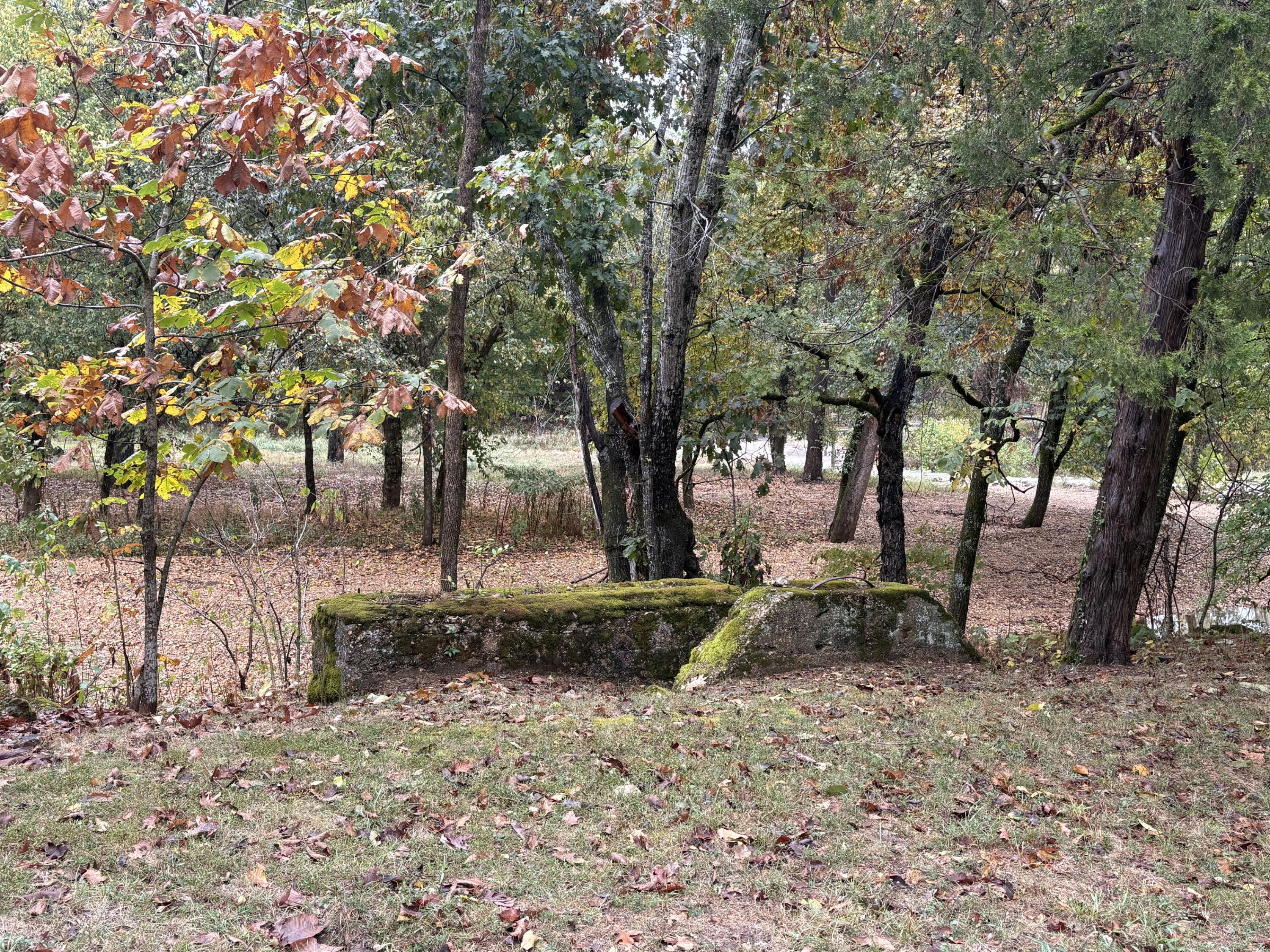 main property photo 46