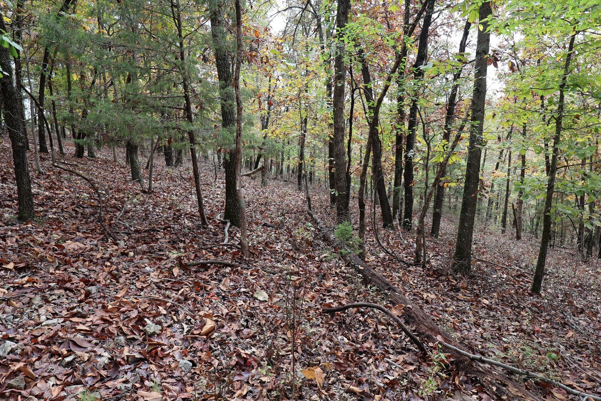 main property photo 11