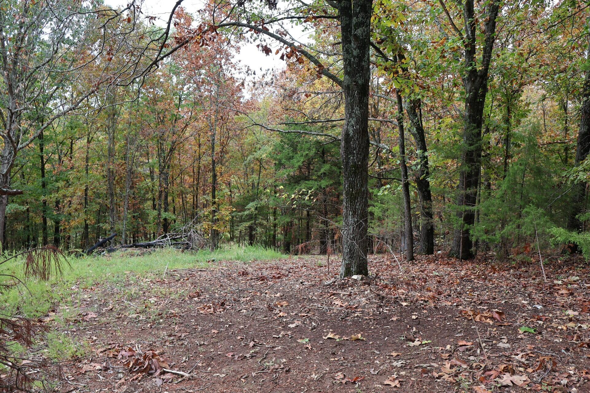 main property photo 39