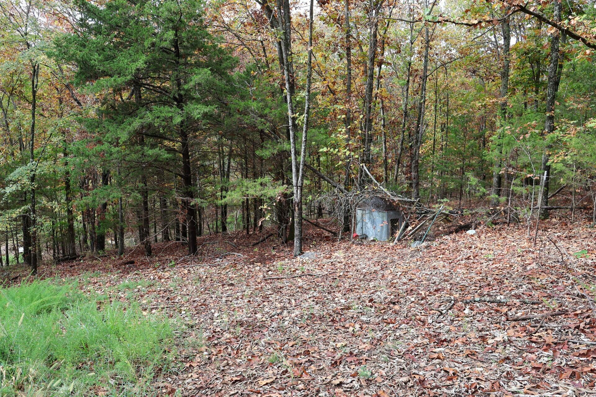 main property photo 41