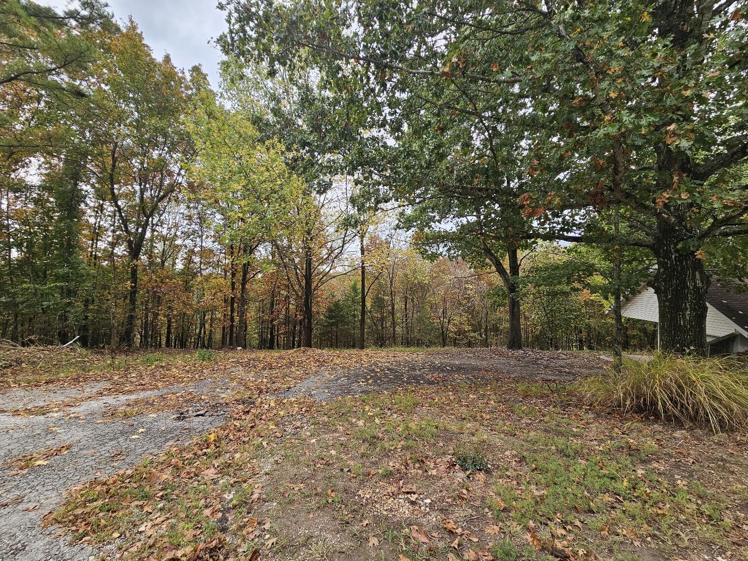 main property photo 47